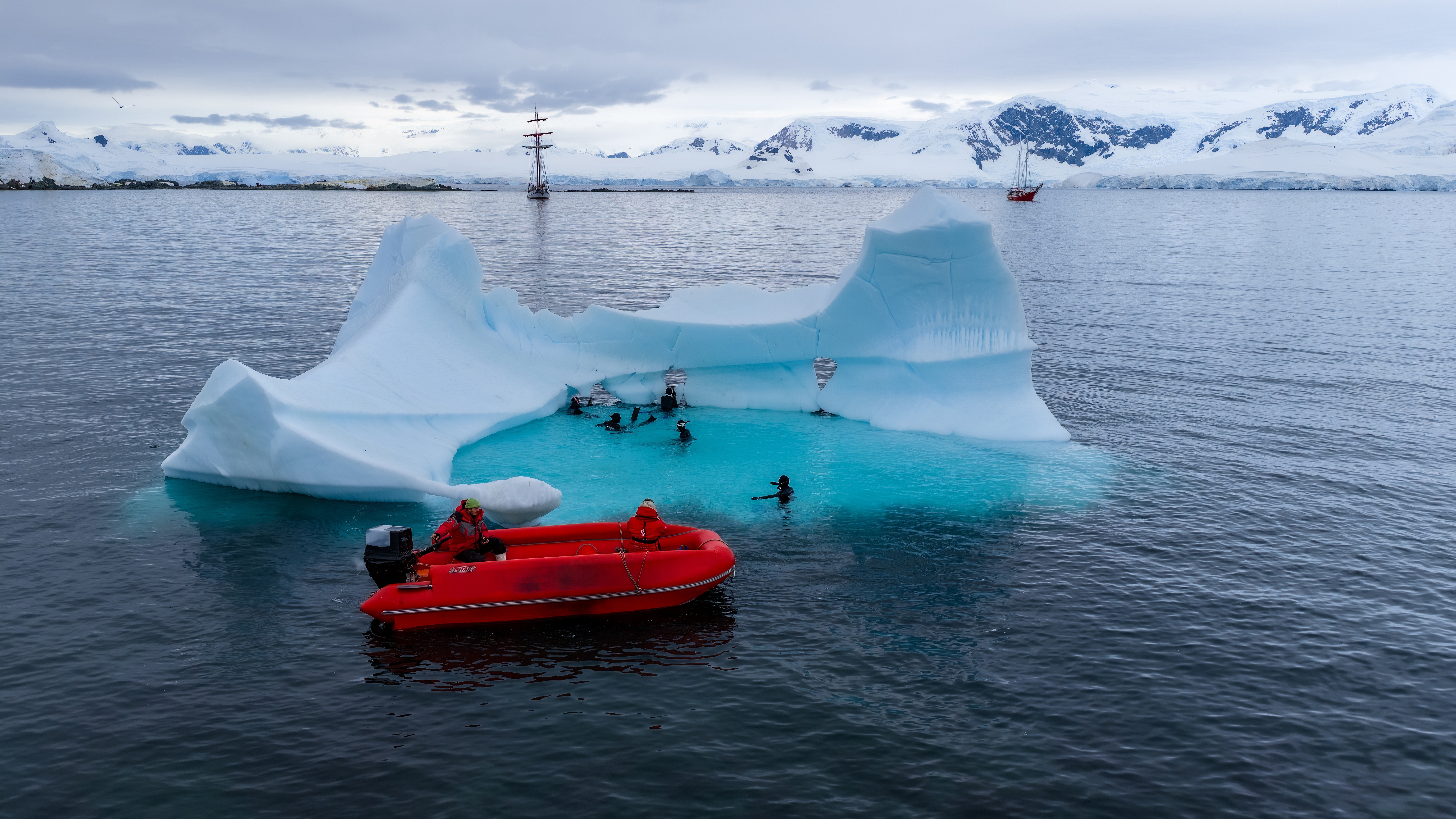 Antarctica: Антарктический лягушатник!
