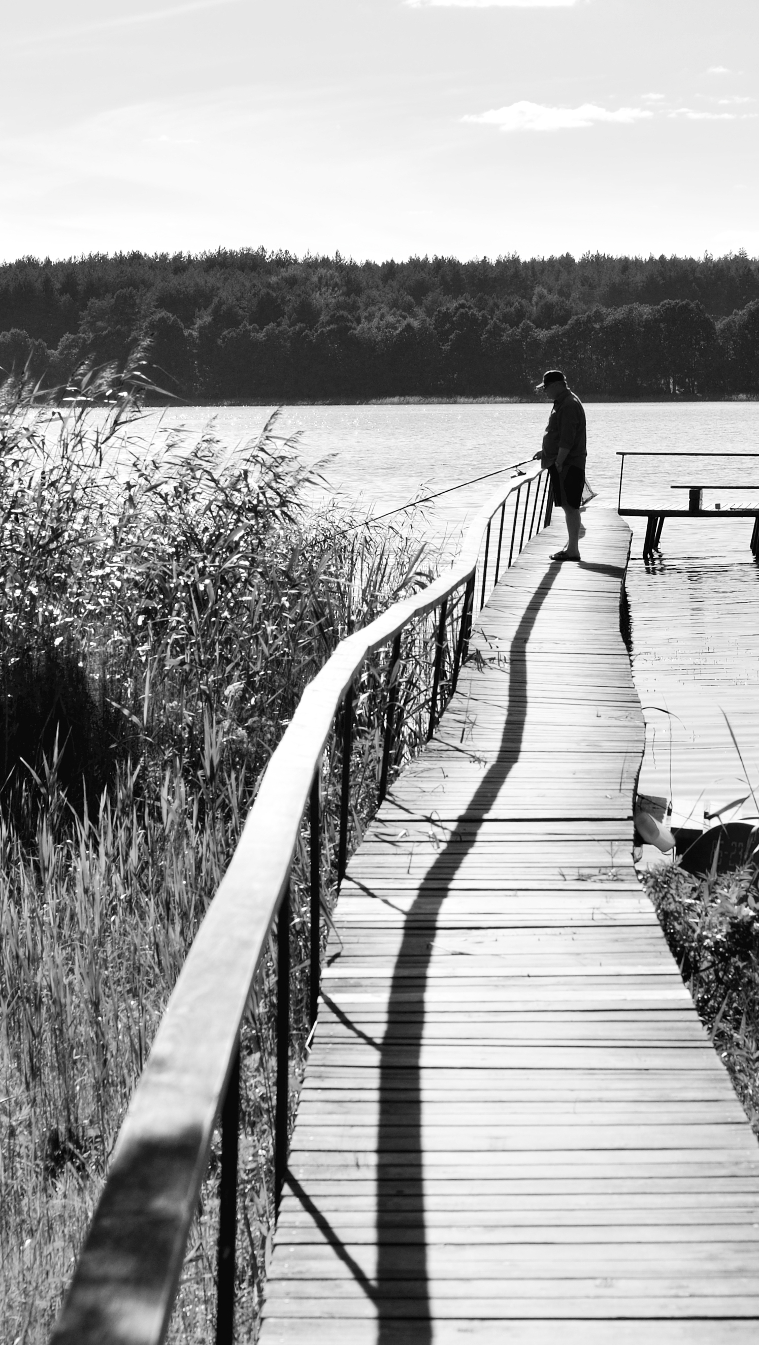 Ловец на конце тени