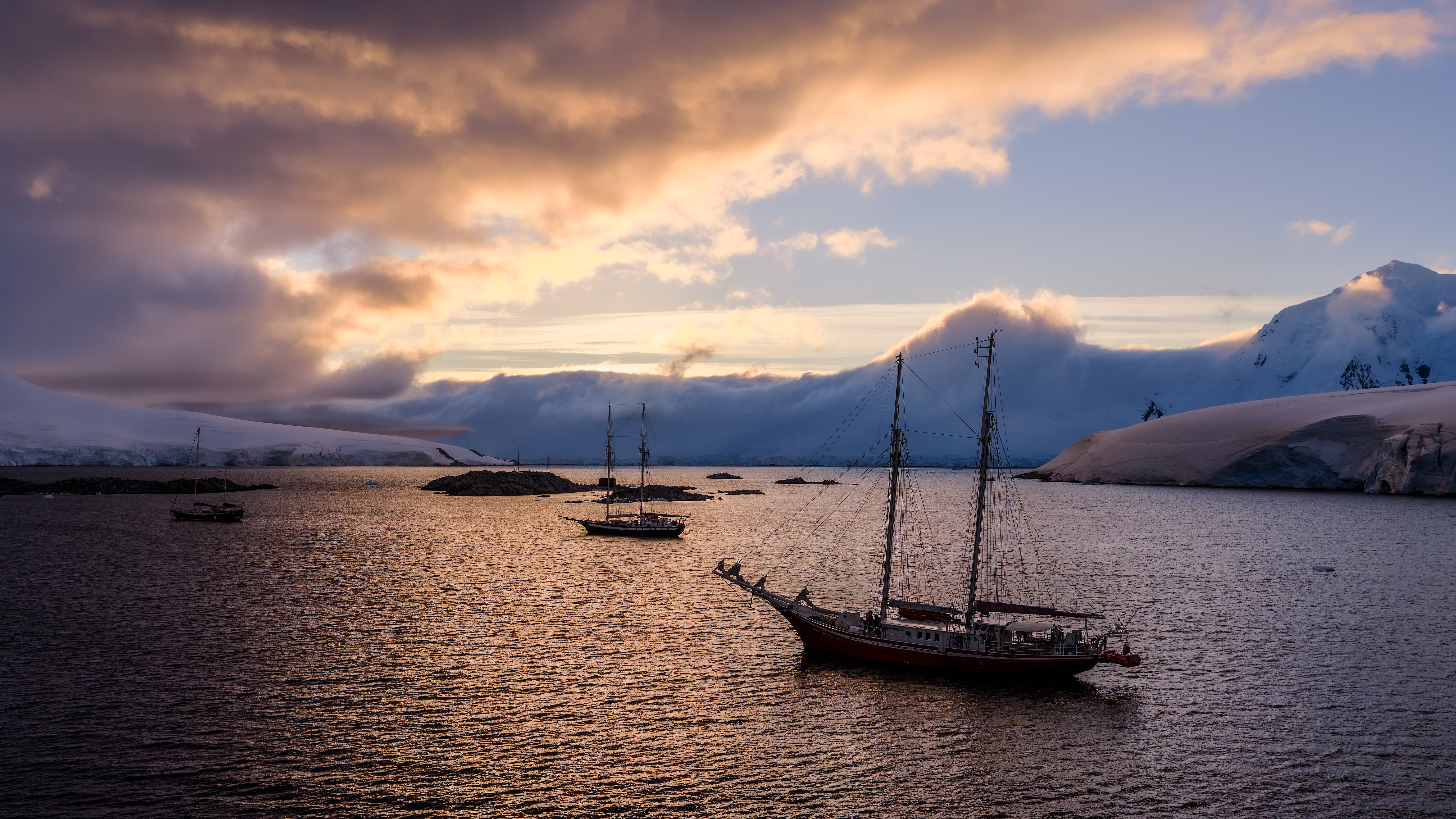 Antarctica: Встреча у о.Гудье