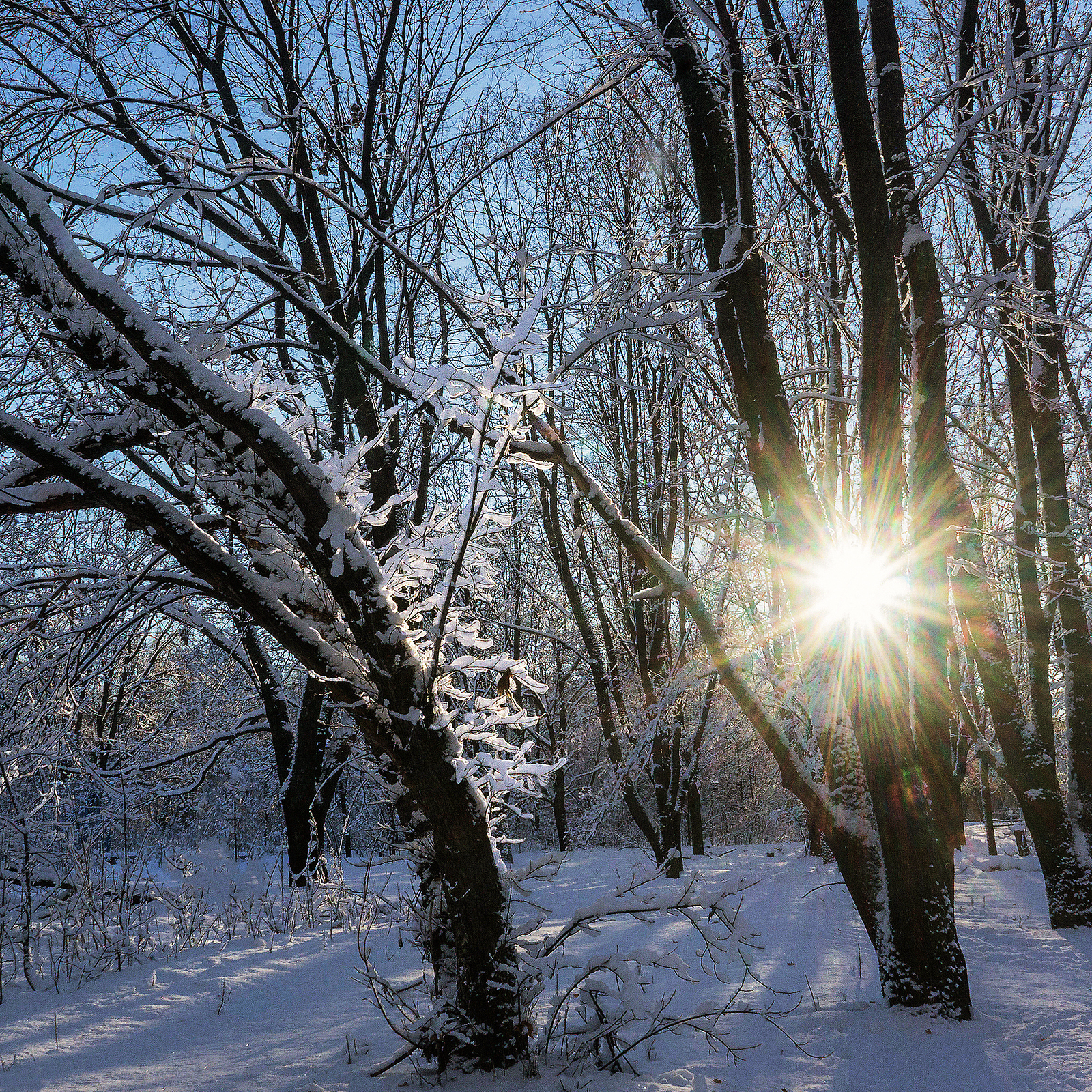 Февральское утро