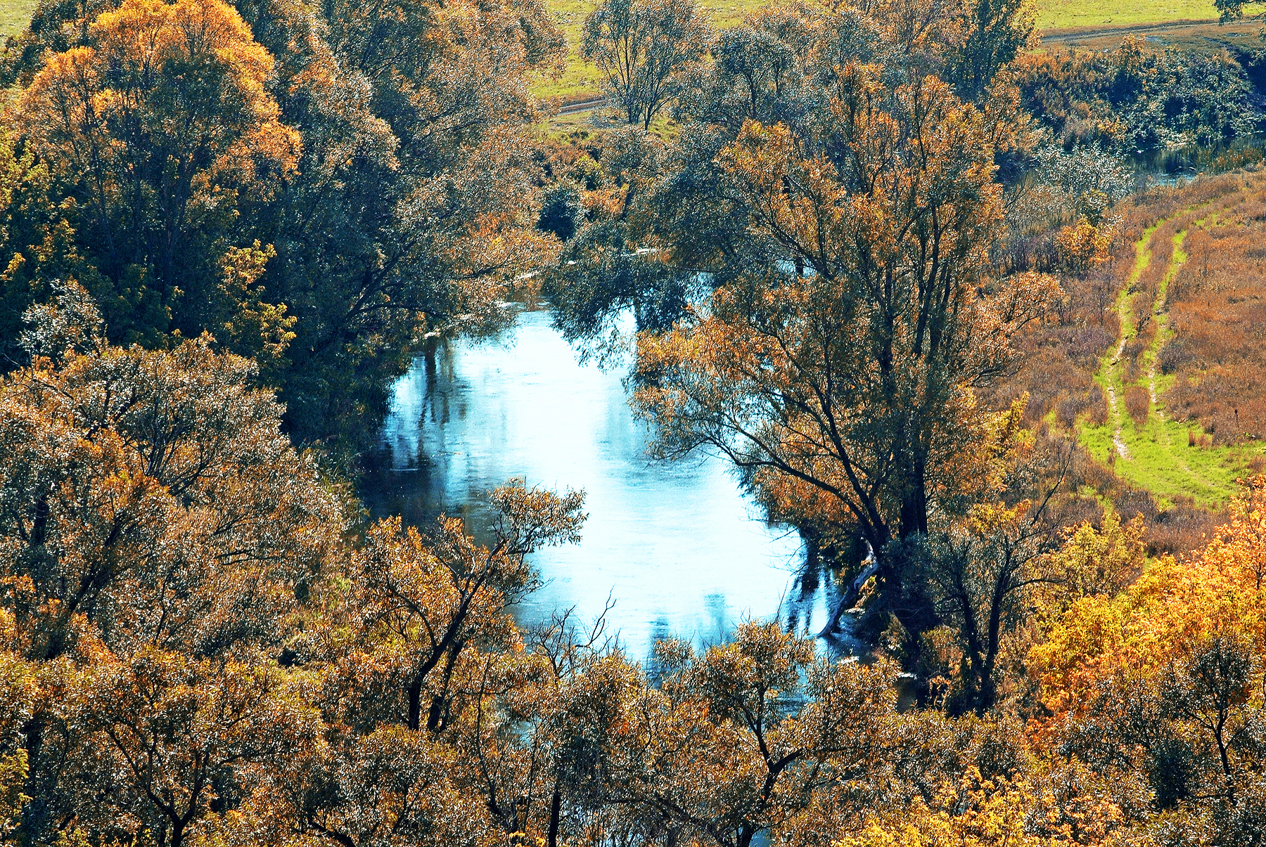ОСЕННИЙ МОТИВ