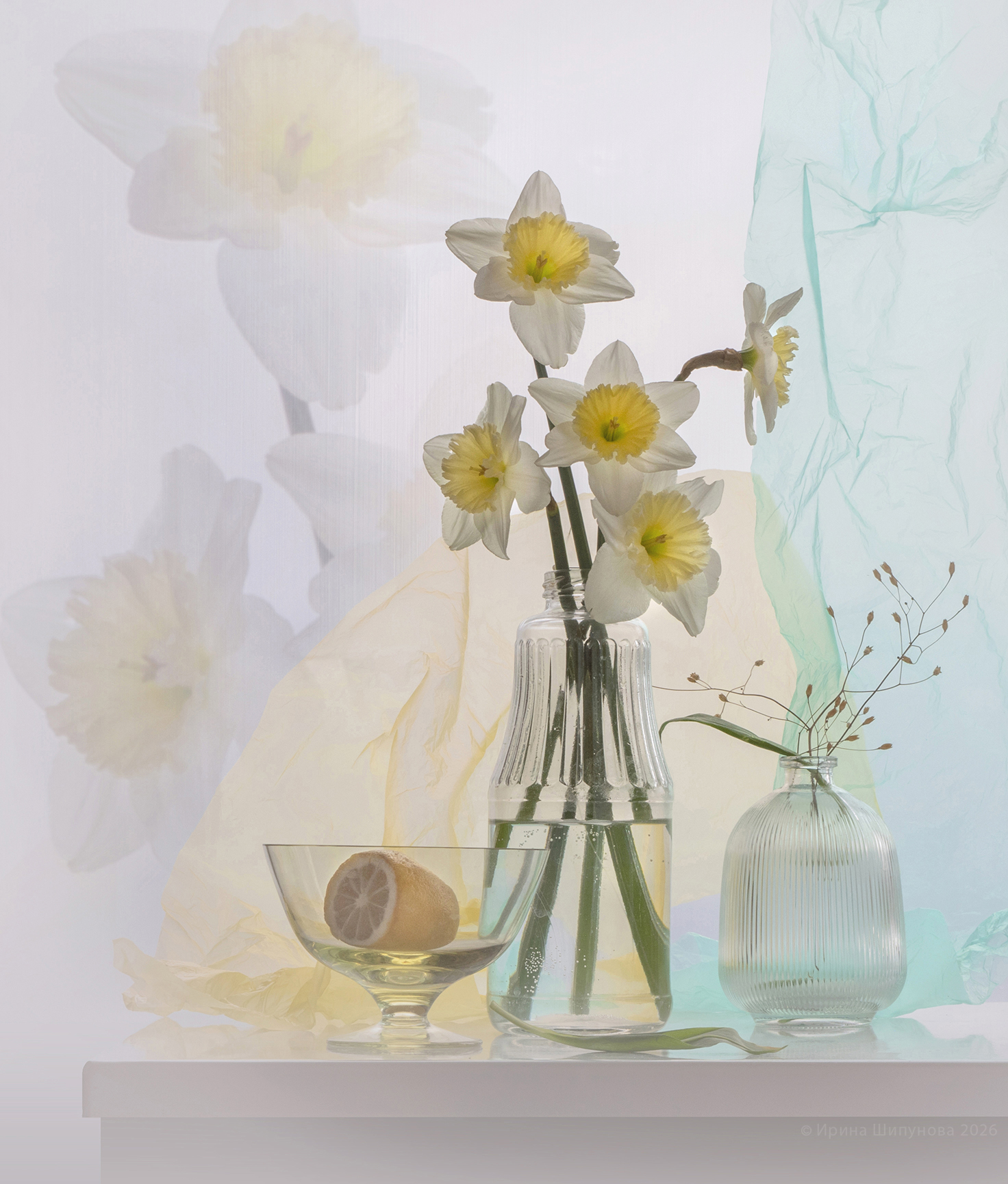 Дыхание весны