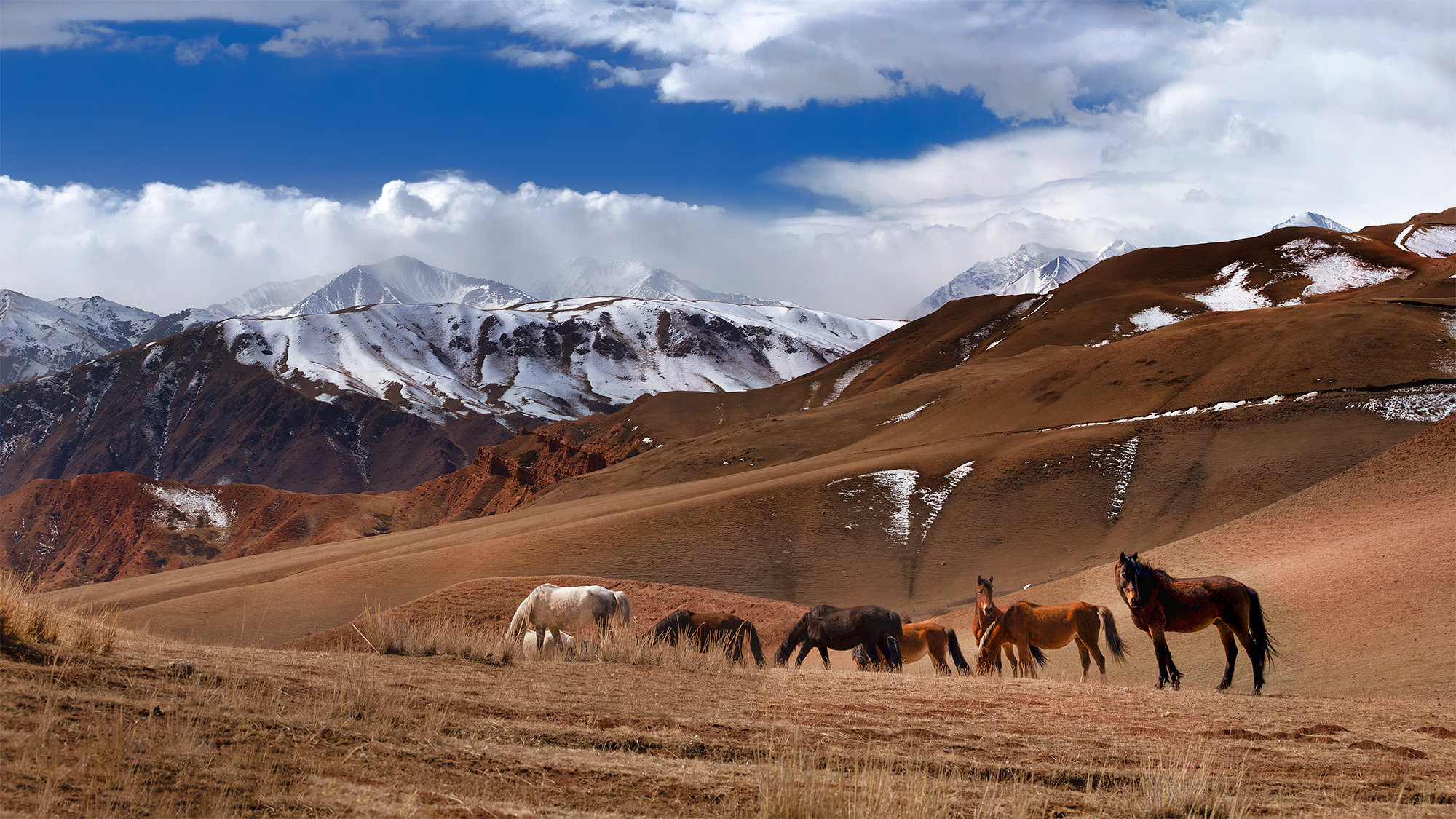 Музыка весны