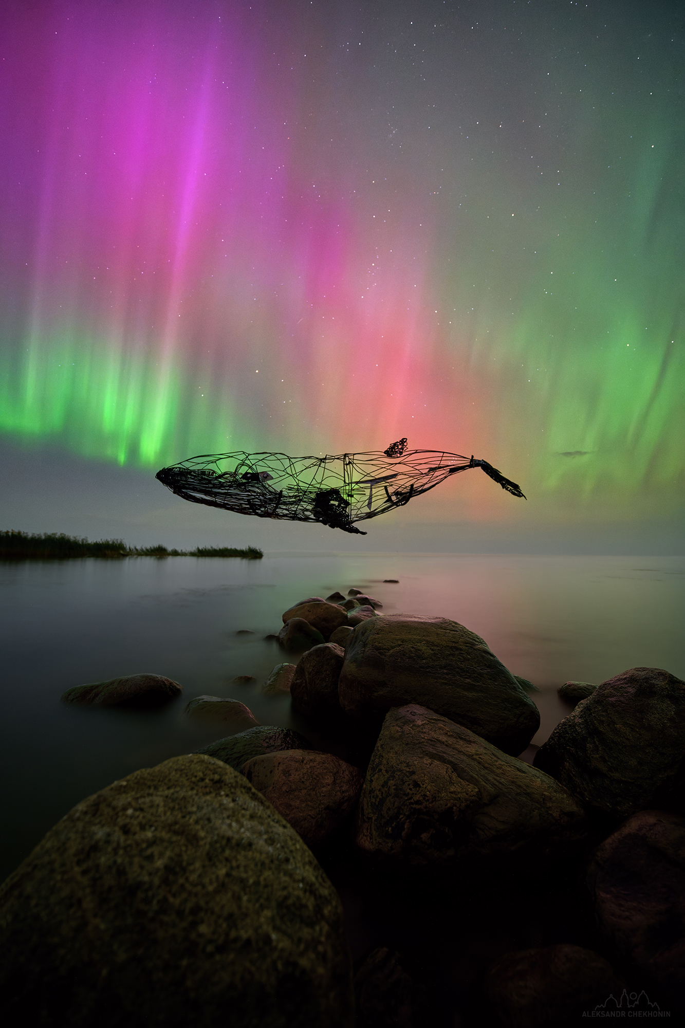 Пойманный в сети авроры