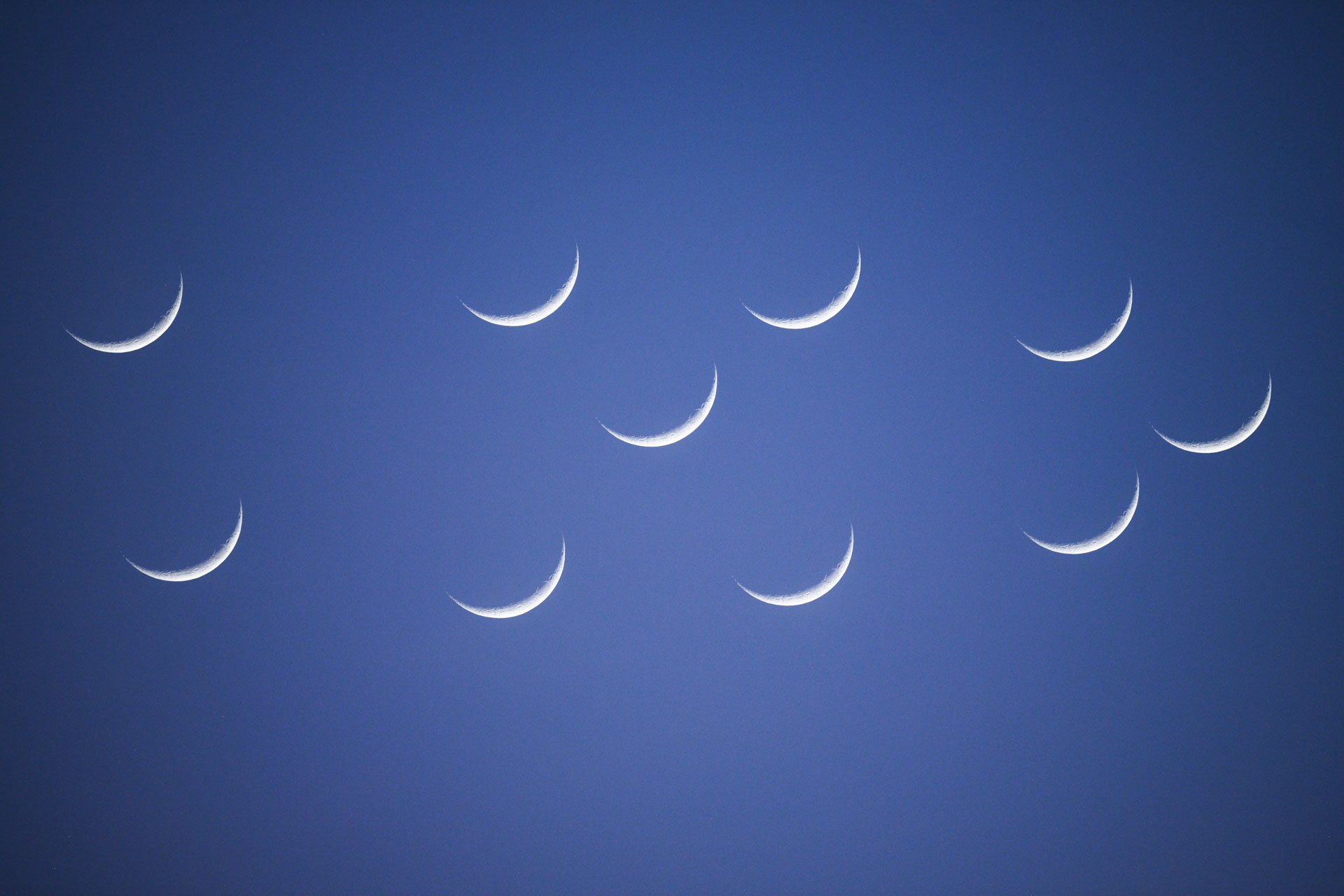 Многолетние