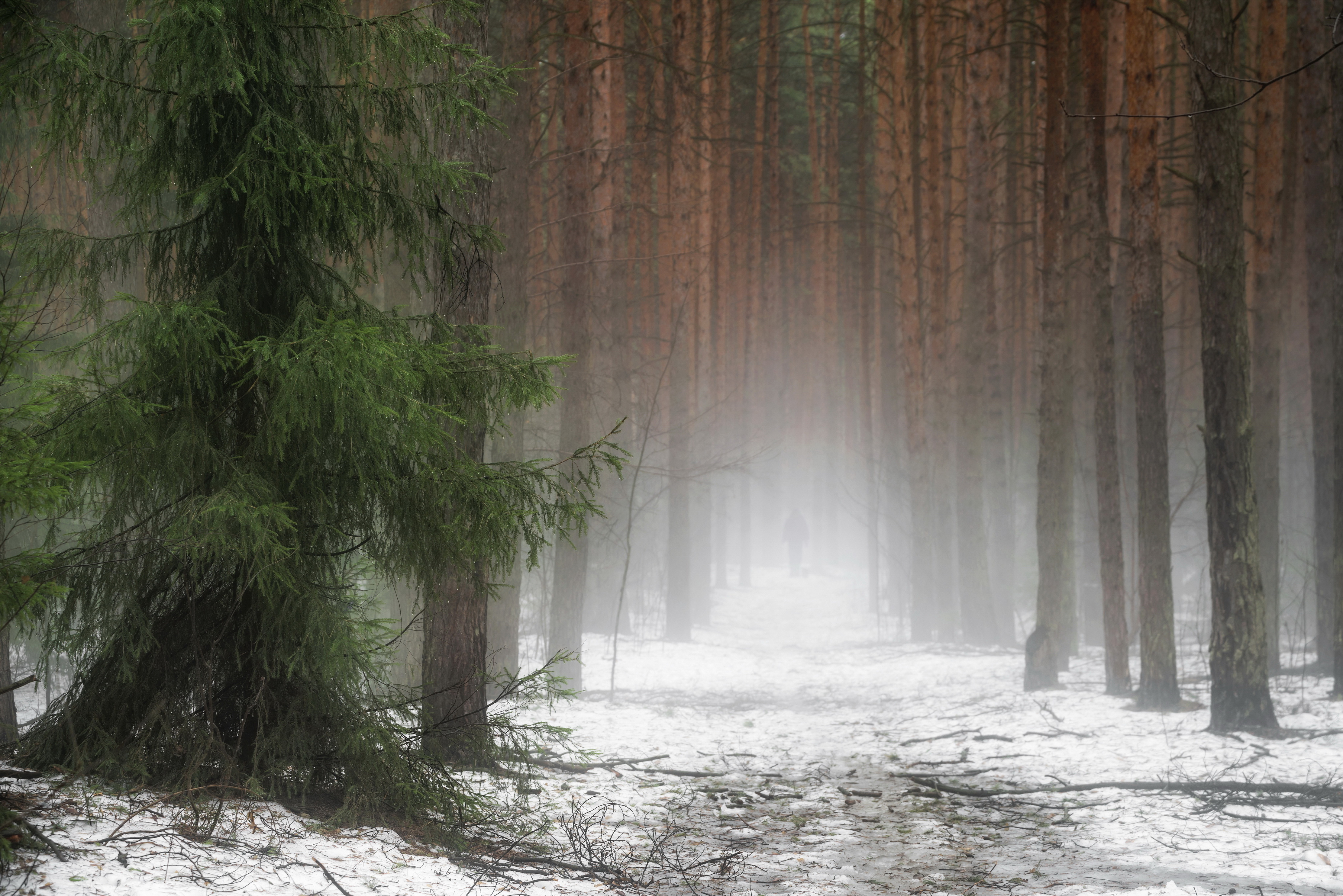 Дождевая дымка