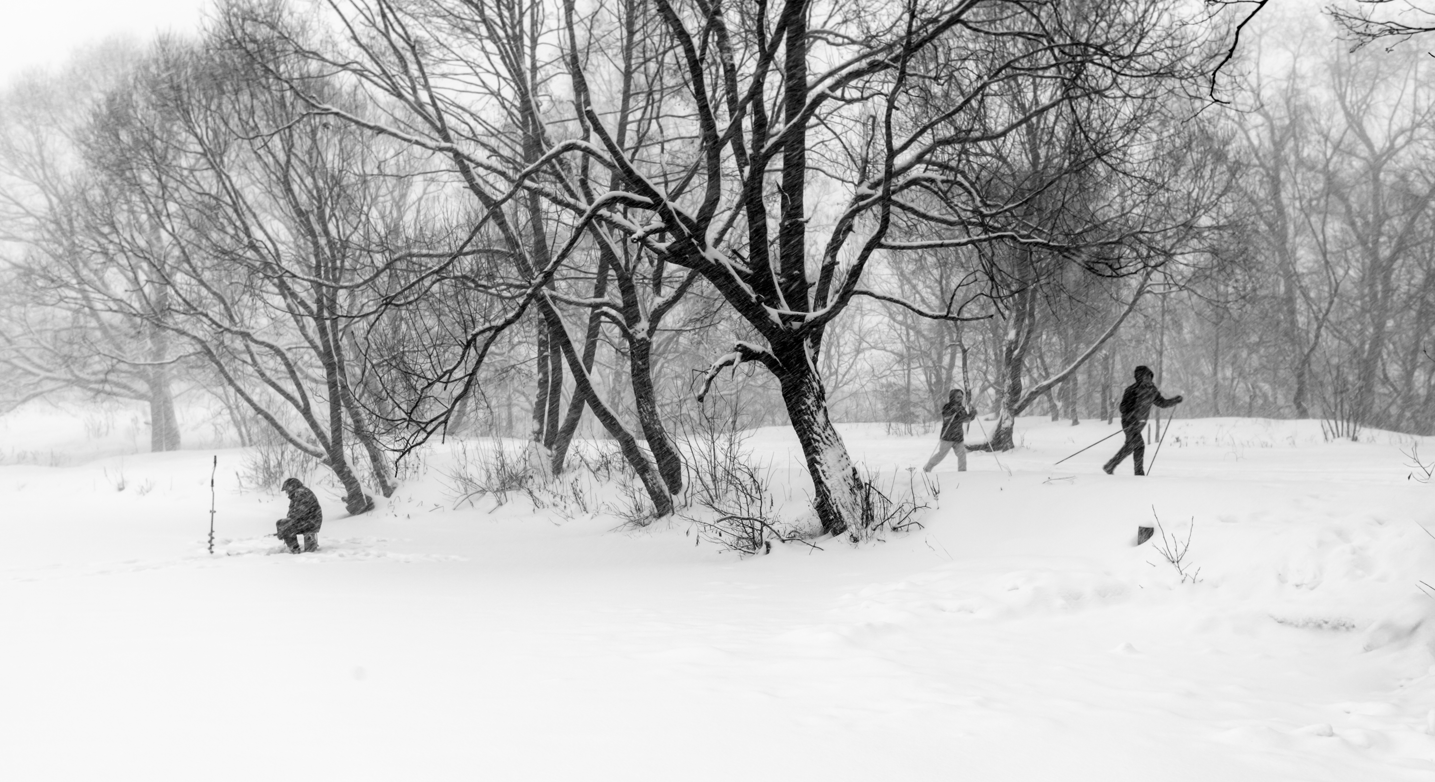 Четверо и их хобби