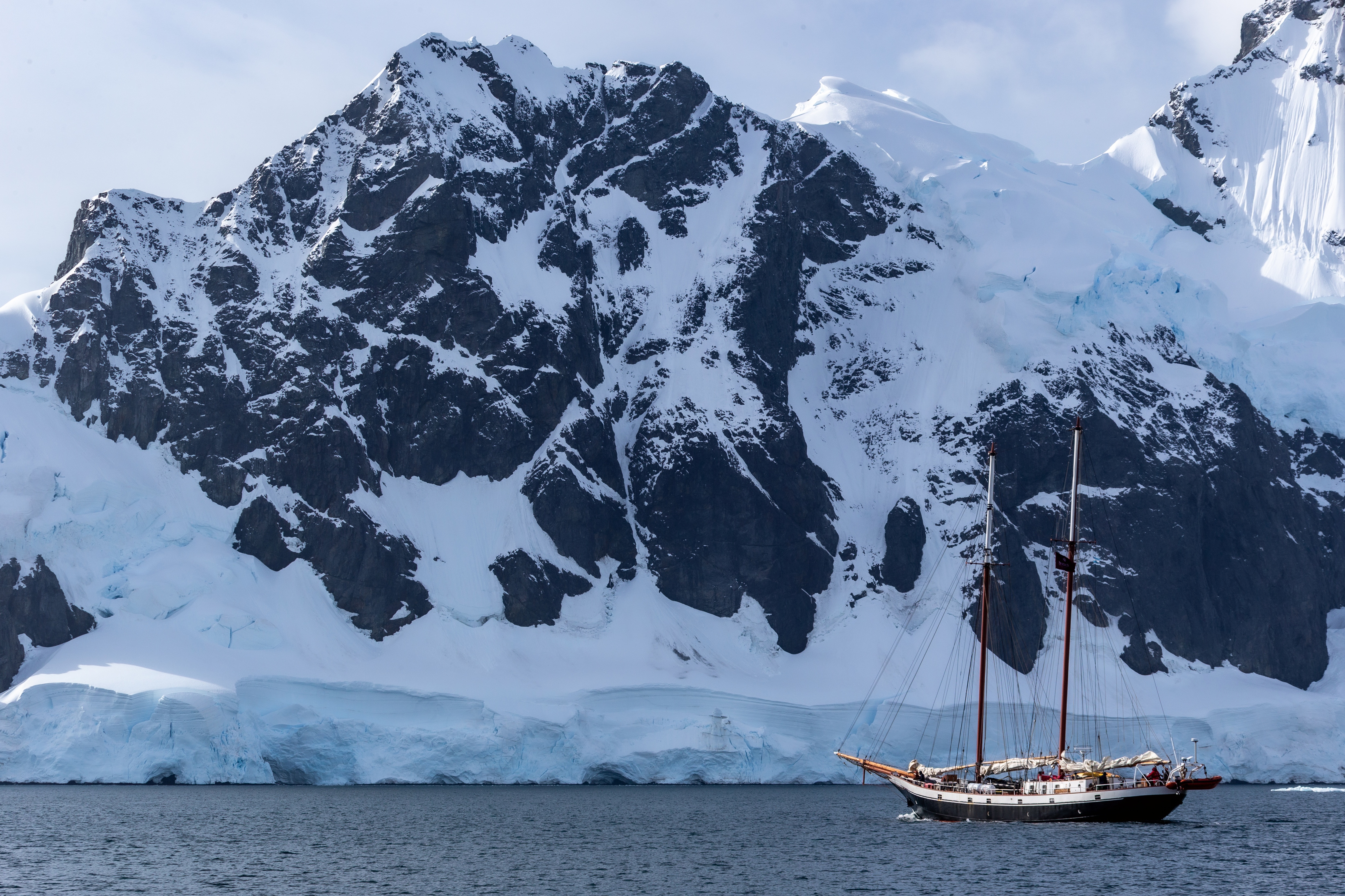 Antarctica: Встреча с коллегами!