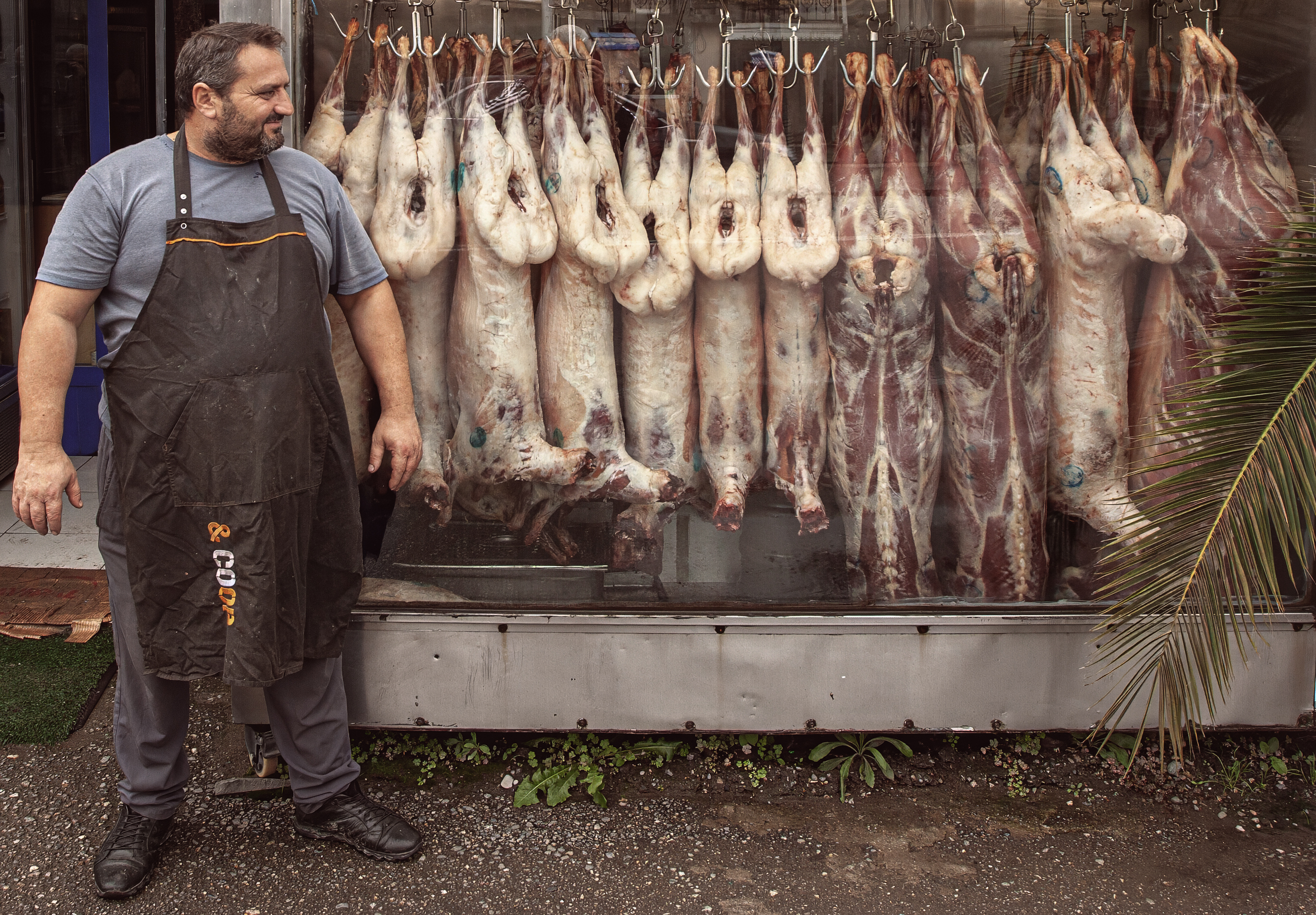 Лучший турецкий ресторан в Грузии