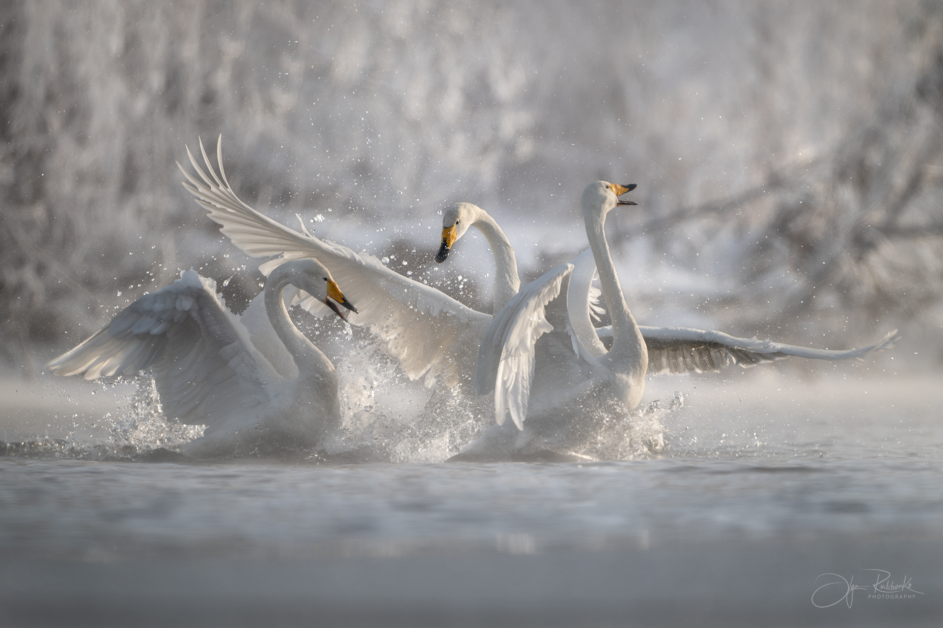 "Время весны"