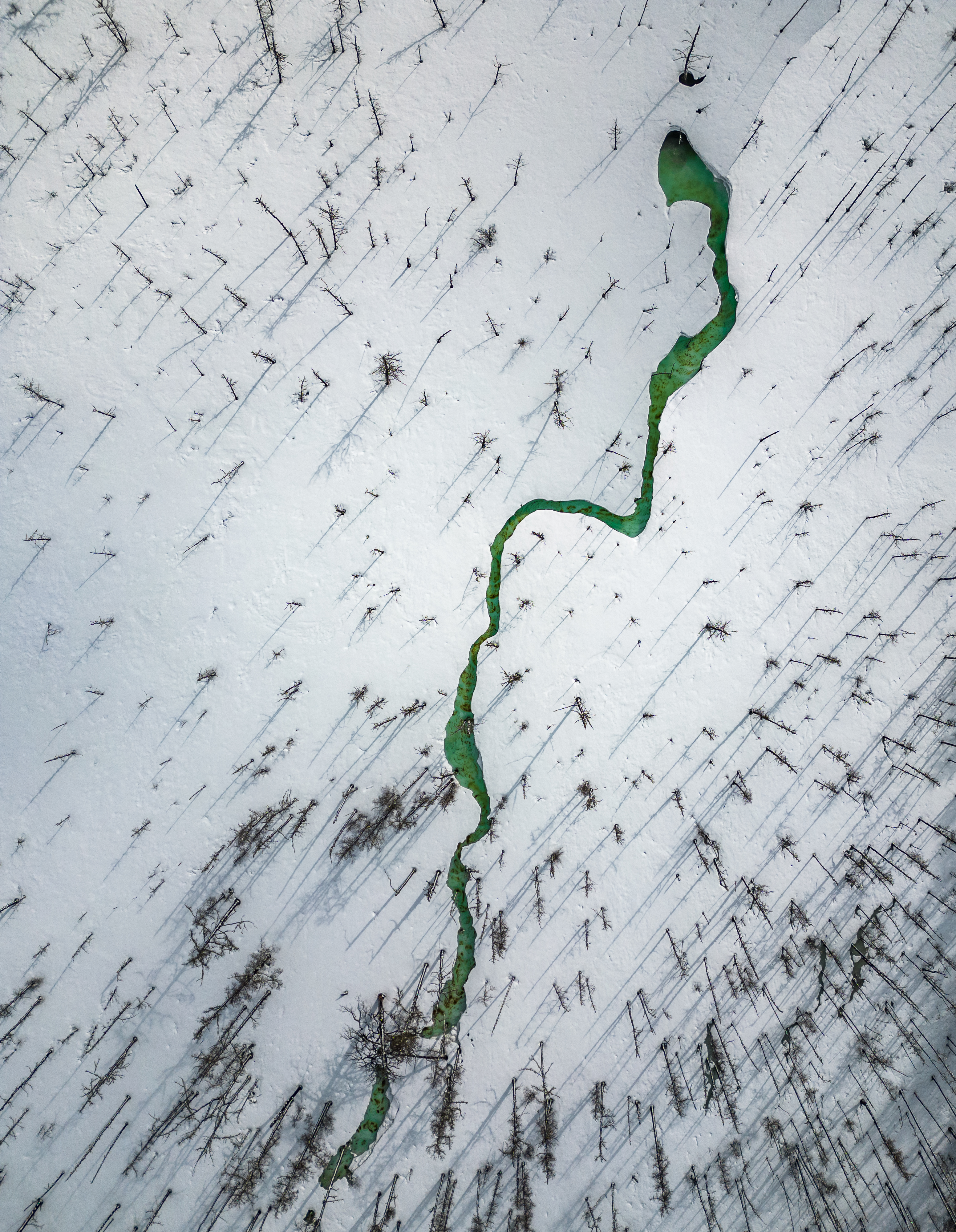 Ледяная змейка