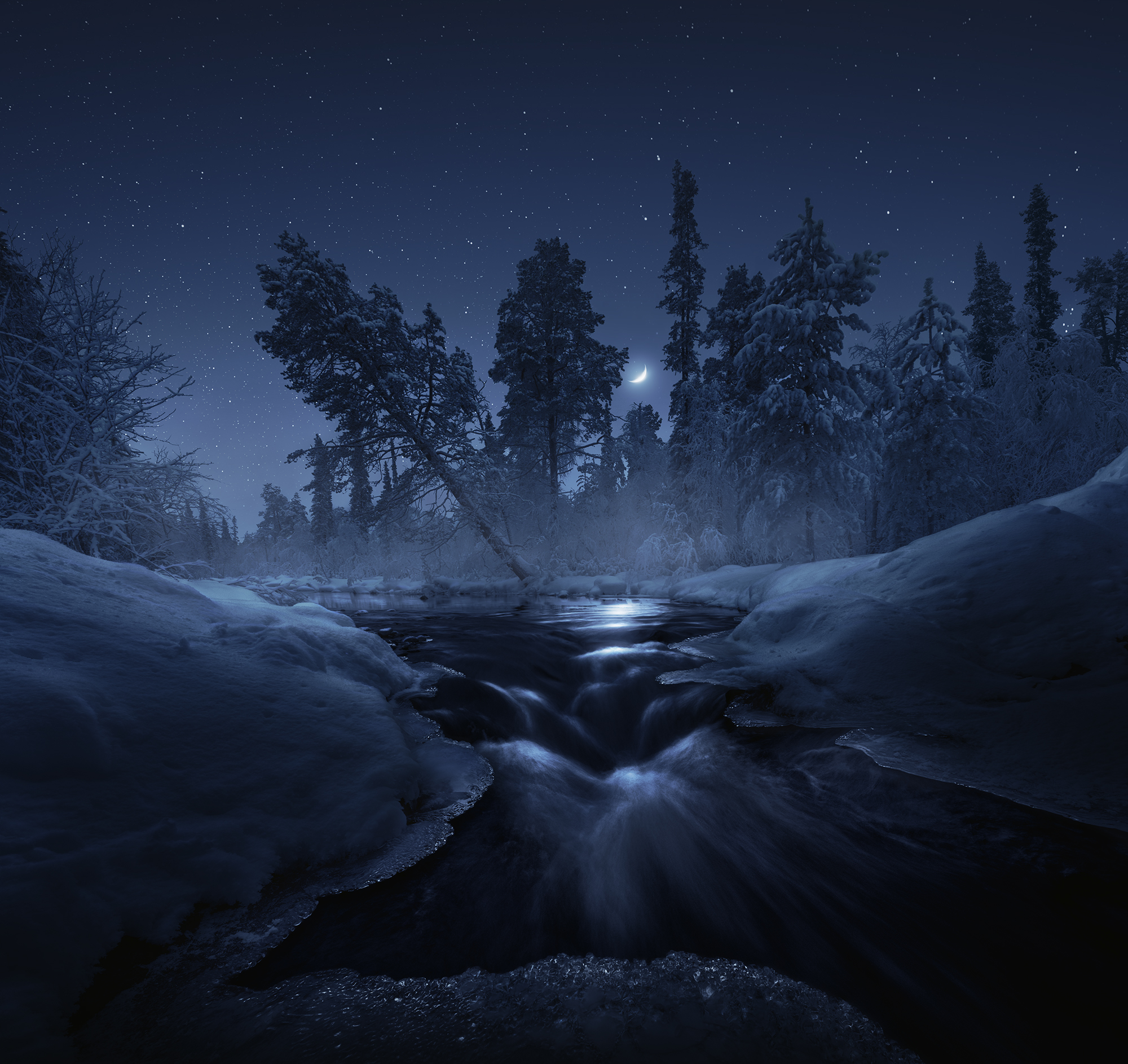 Стражи зимнего леса