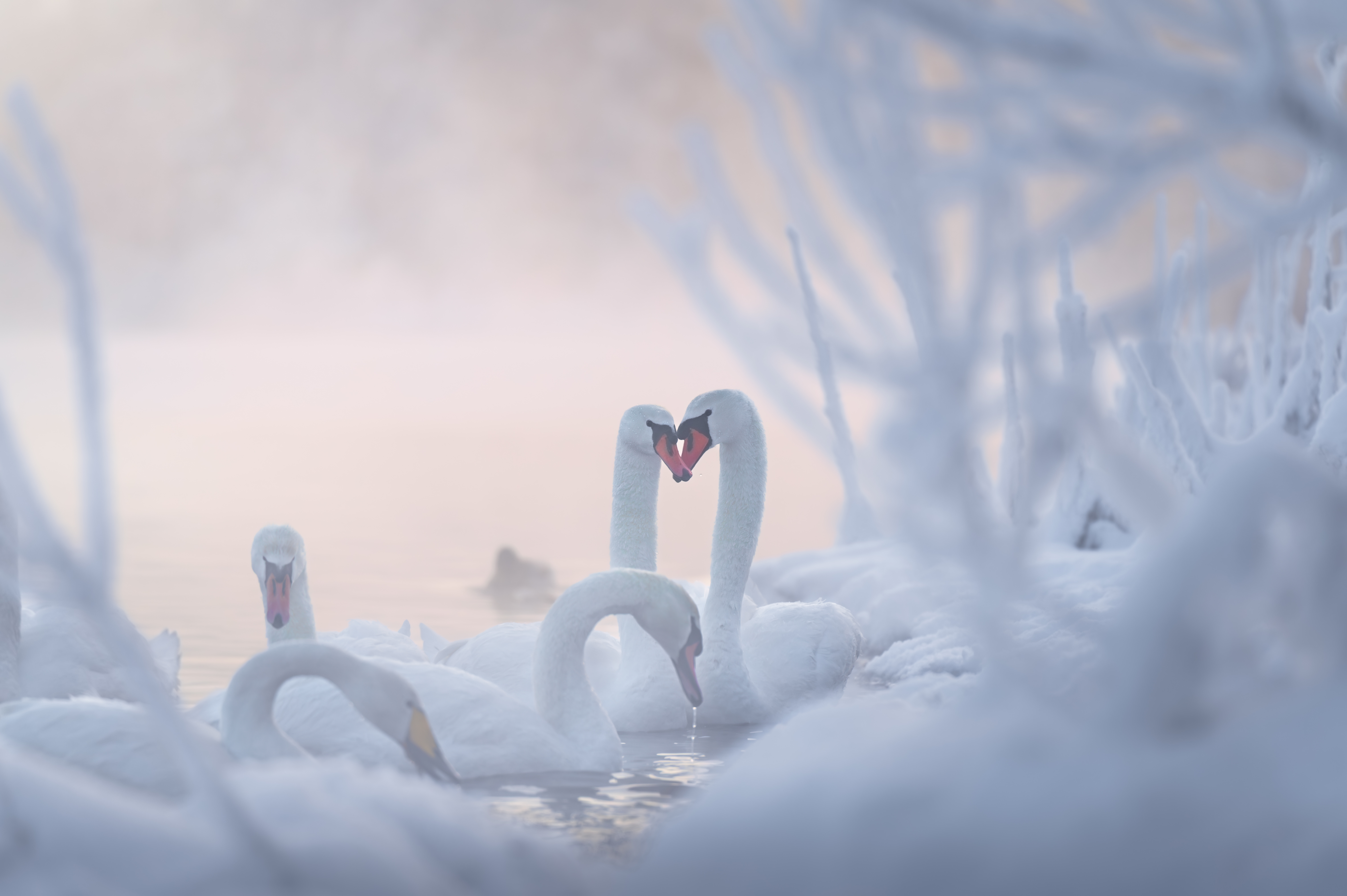 Перезимуем