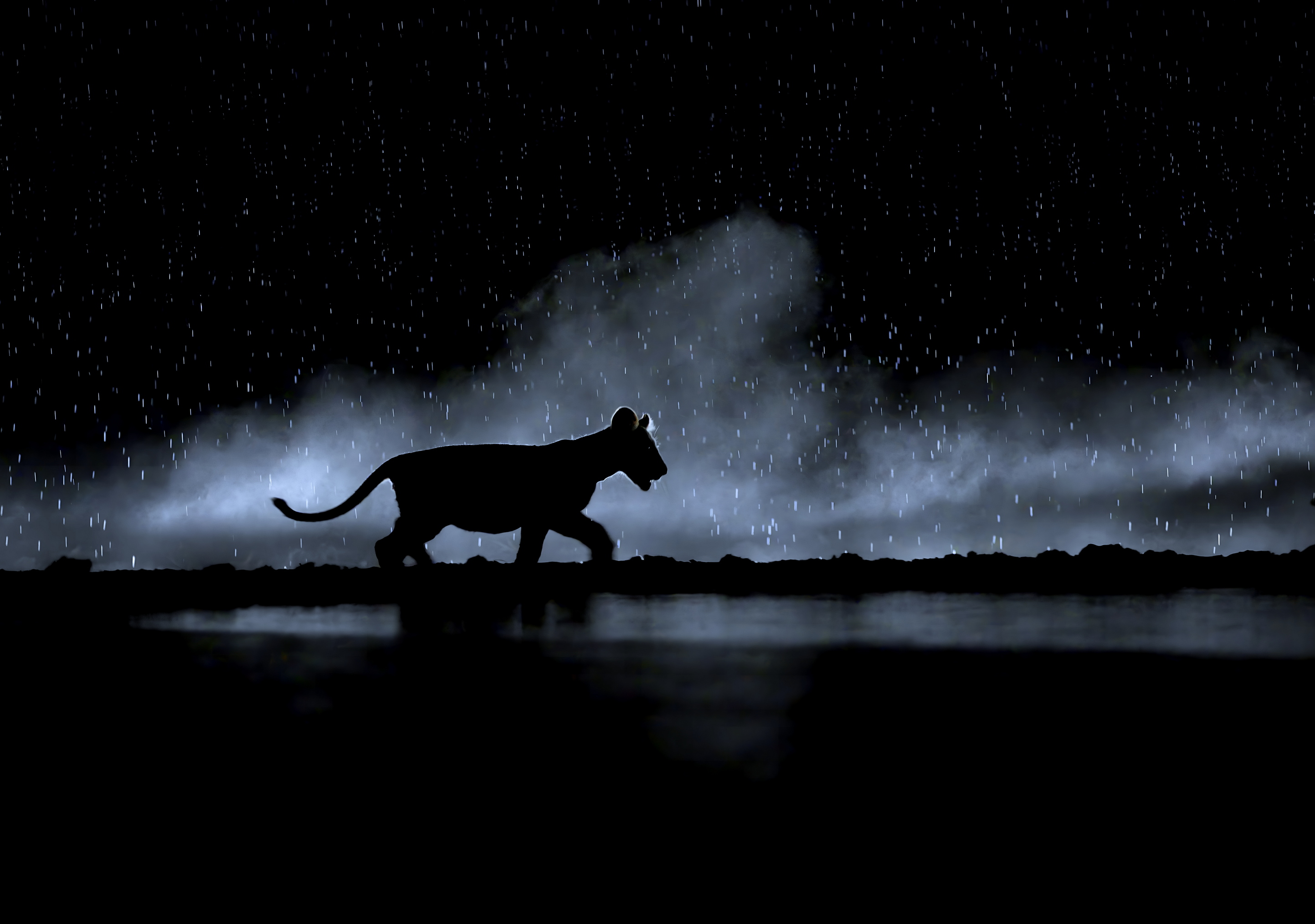 Что нам снег, что нам дождь...