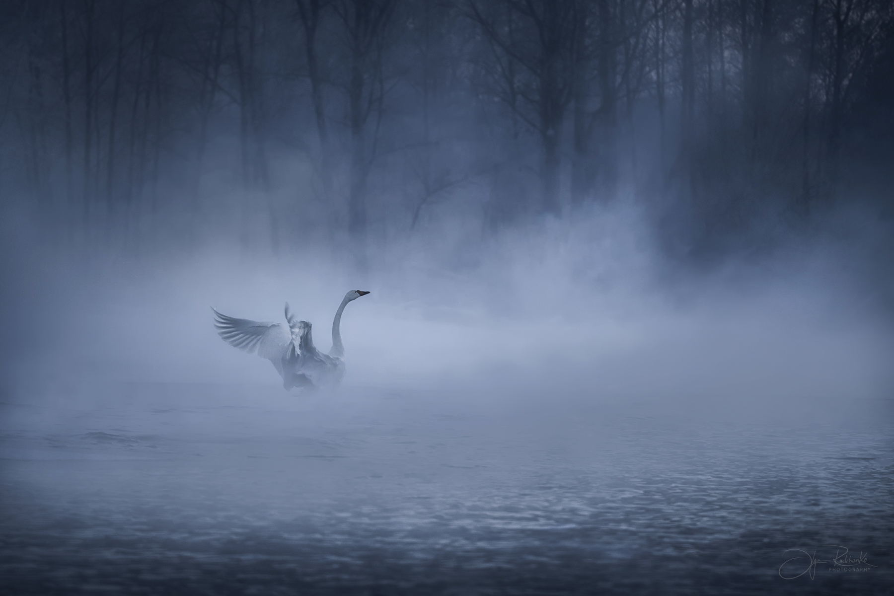 Призрачно всё