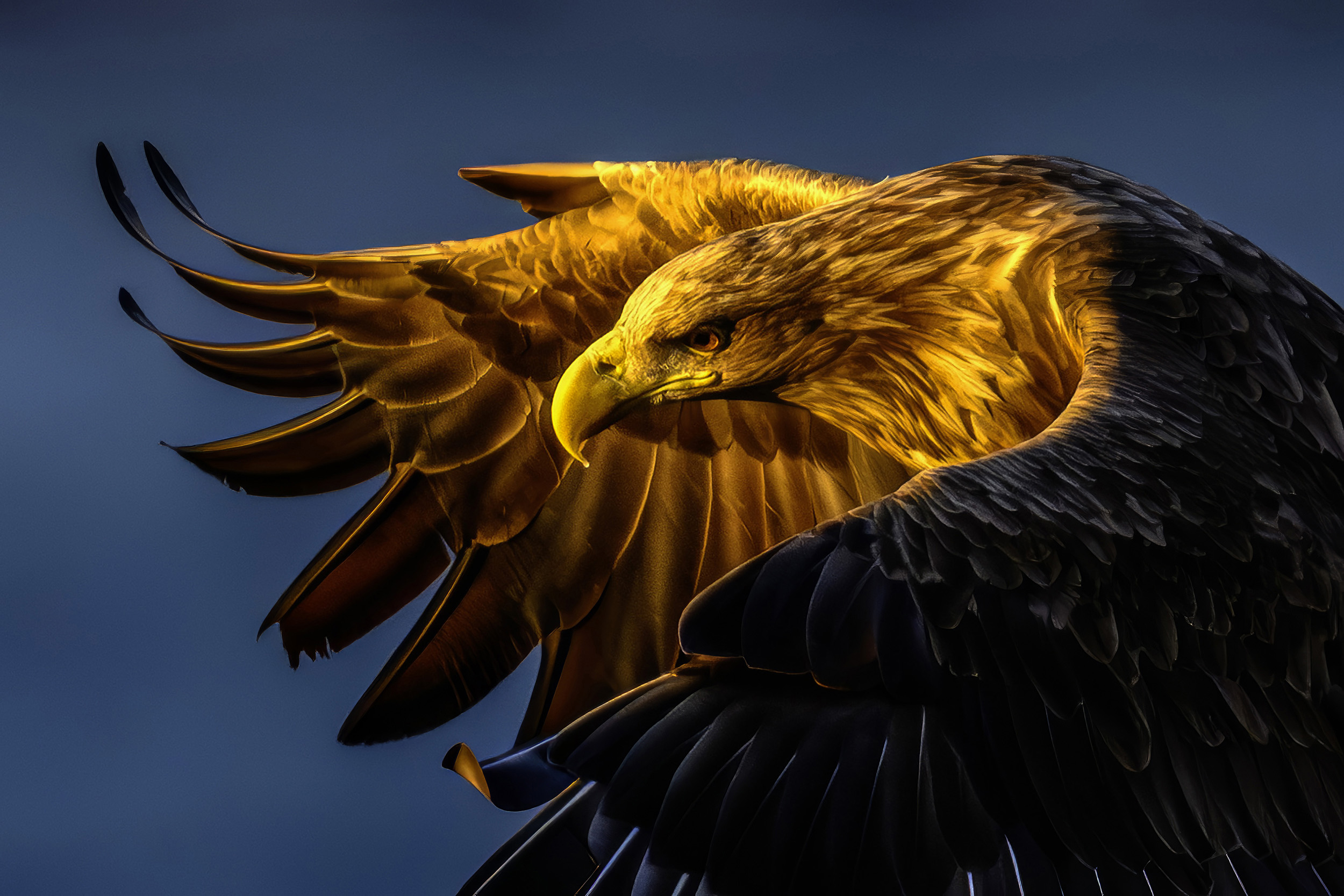 Навстречу солнцу