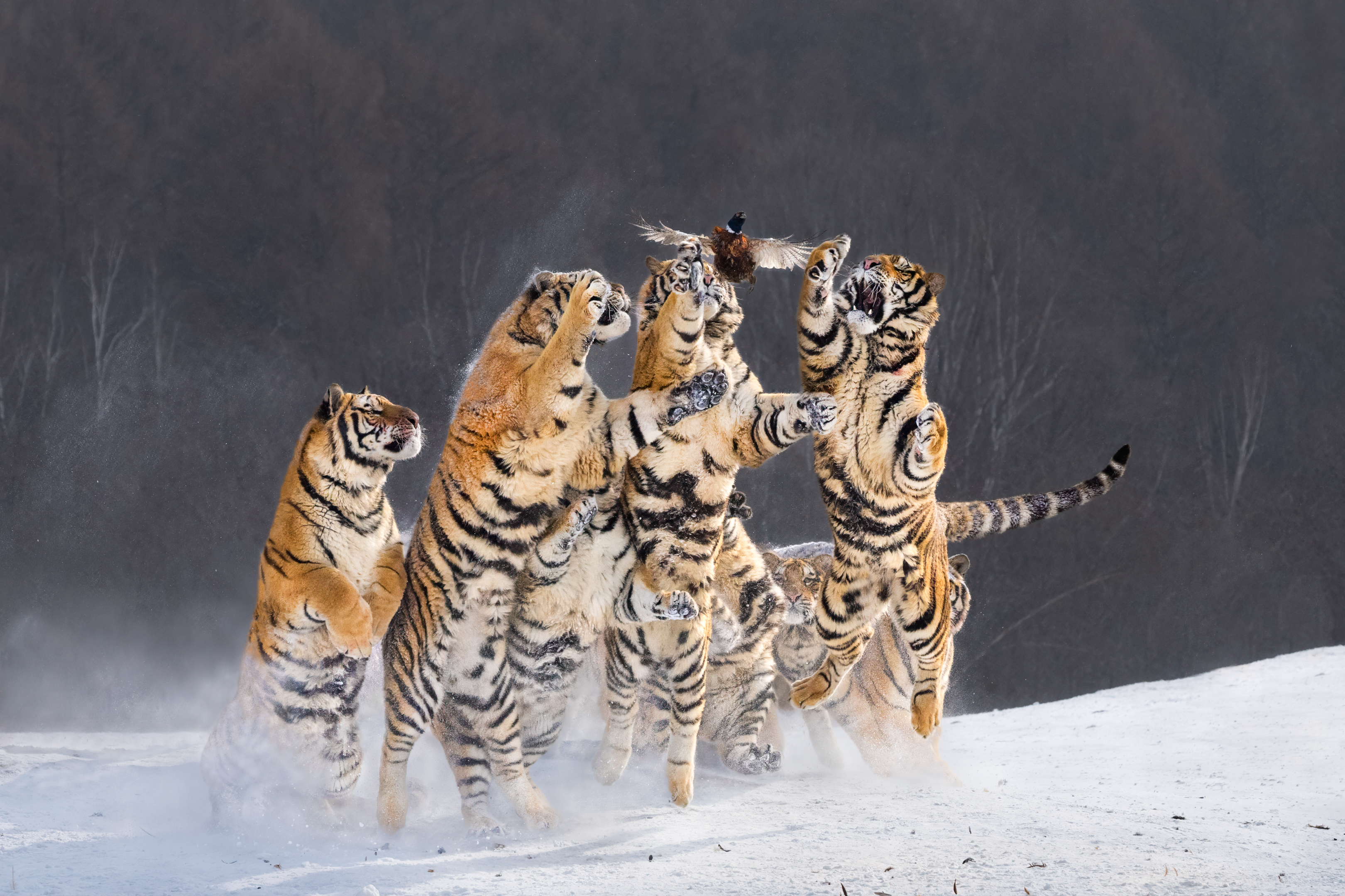 Опять промахнулся