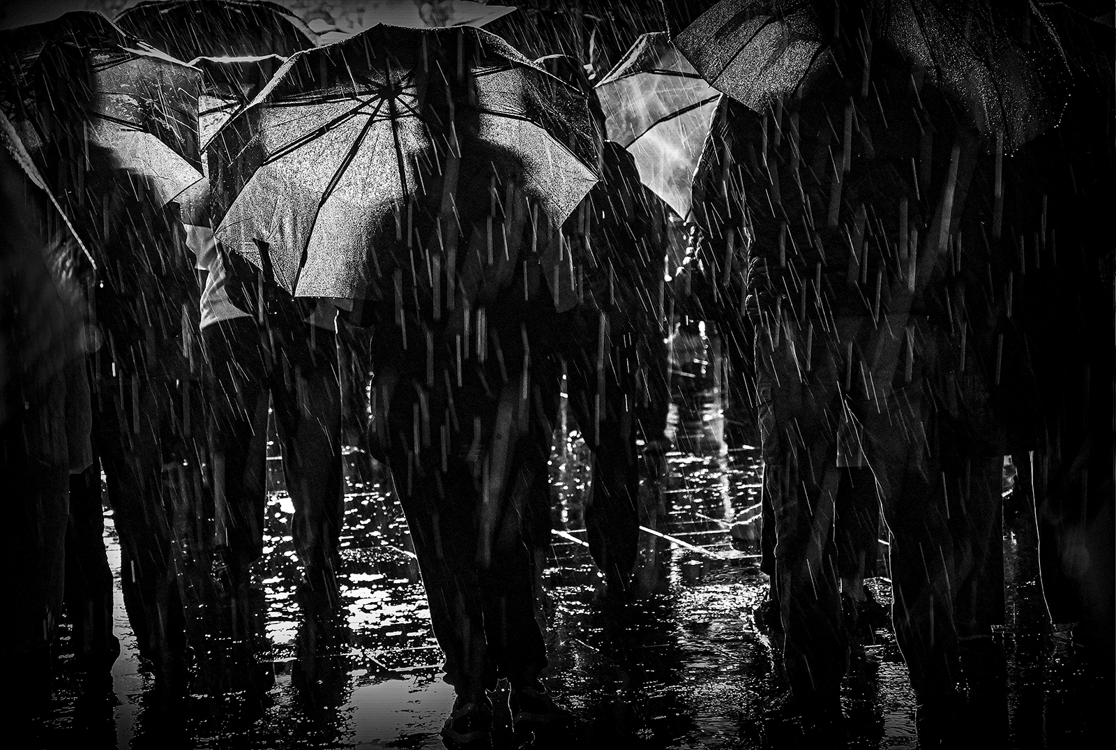 Люди под дождем