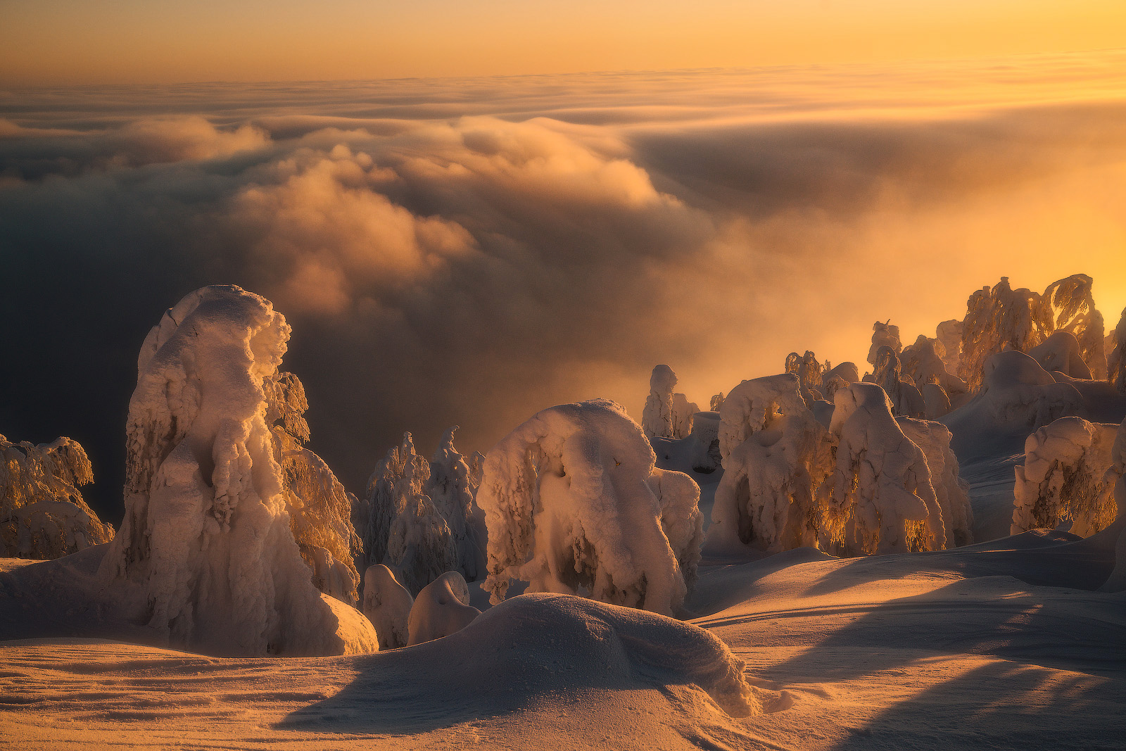 Выше облаков