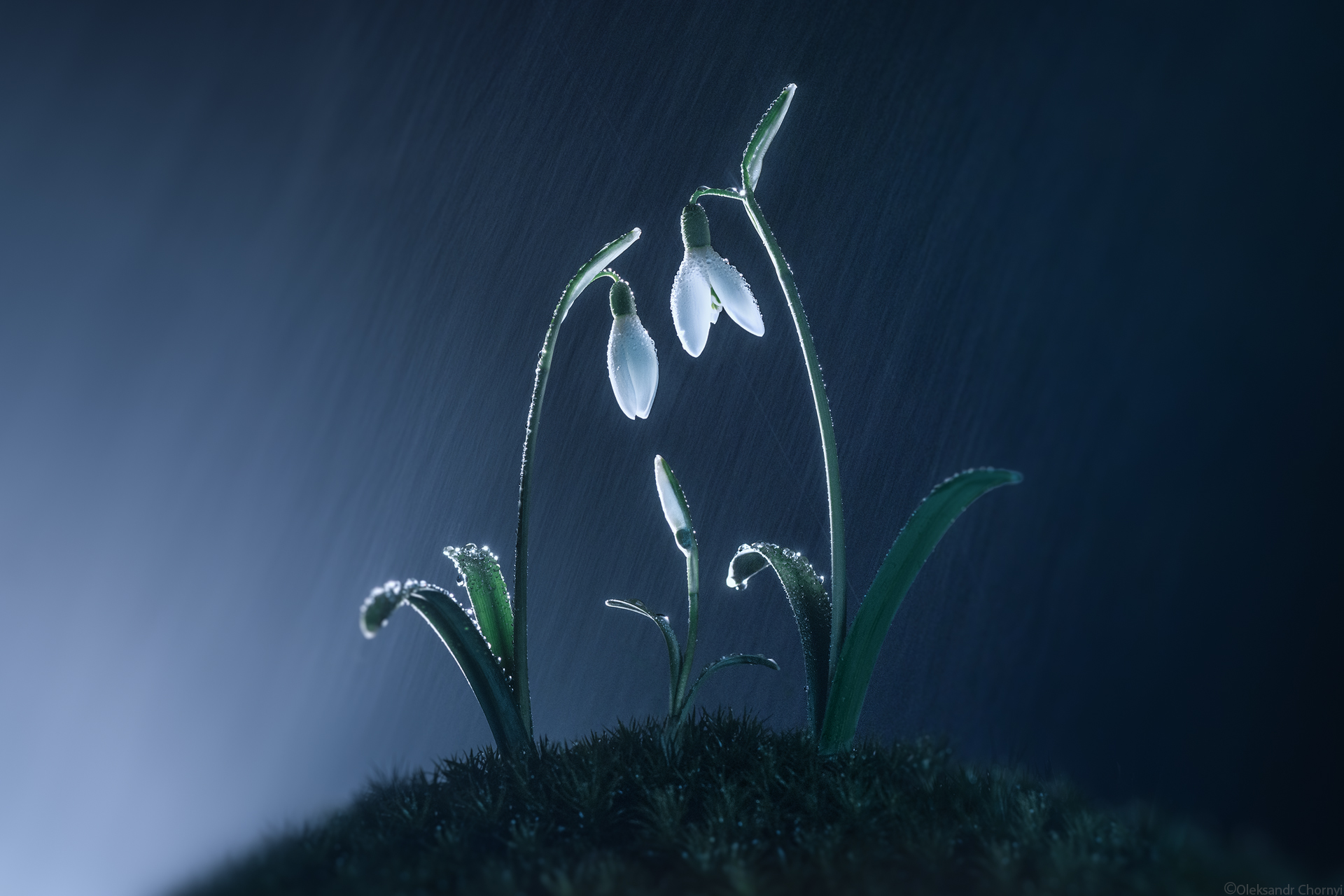 "Любящая среда"