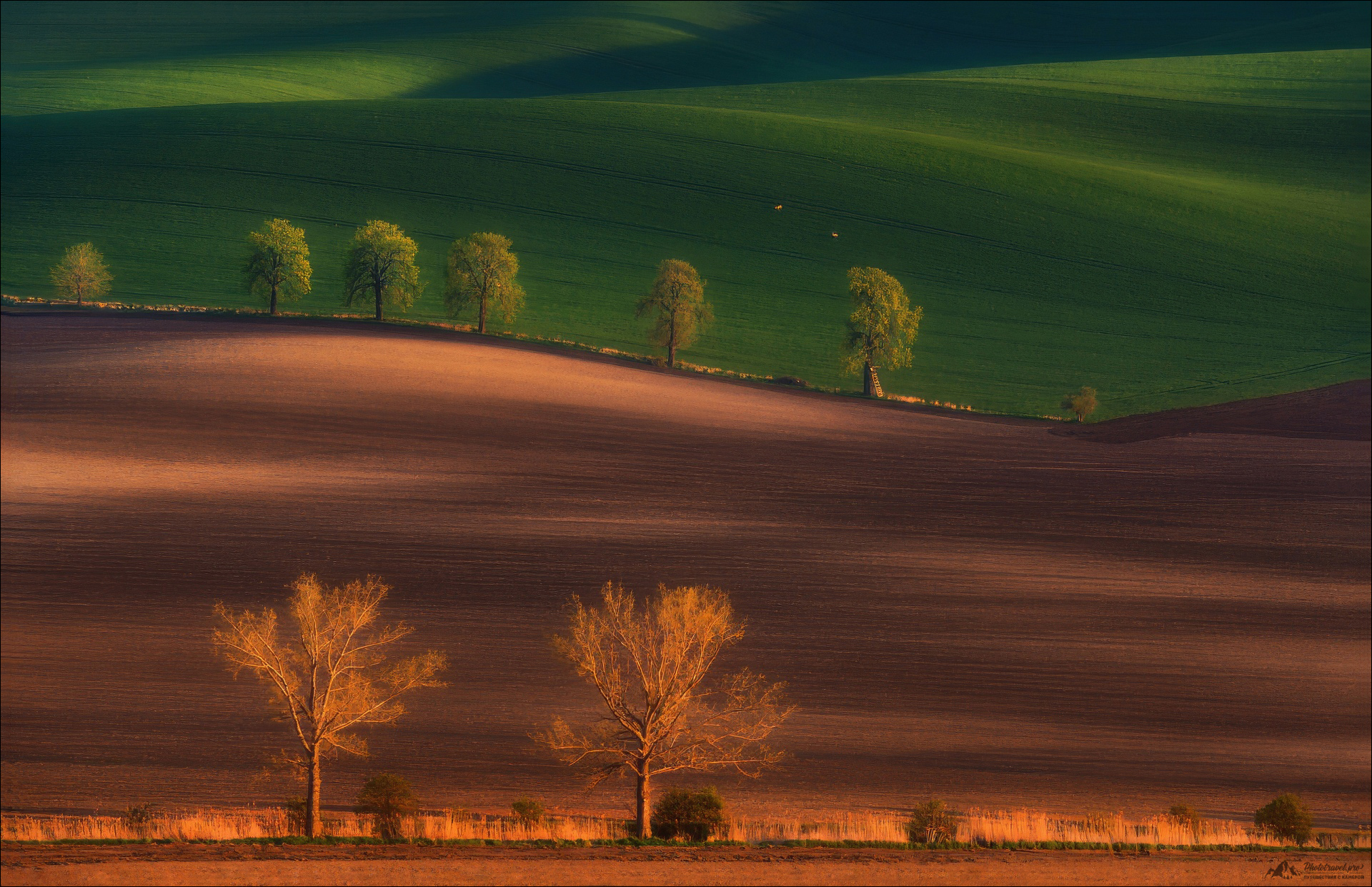 Грани цвета