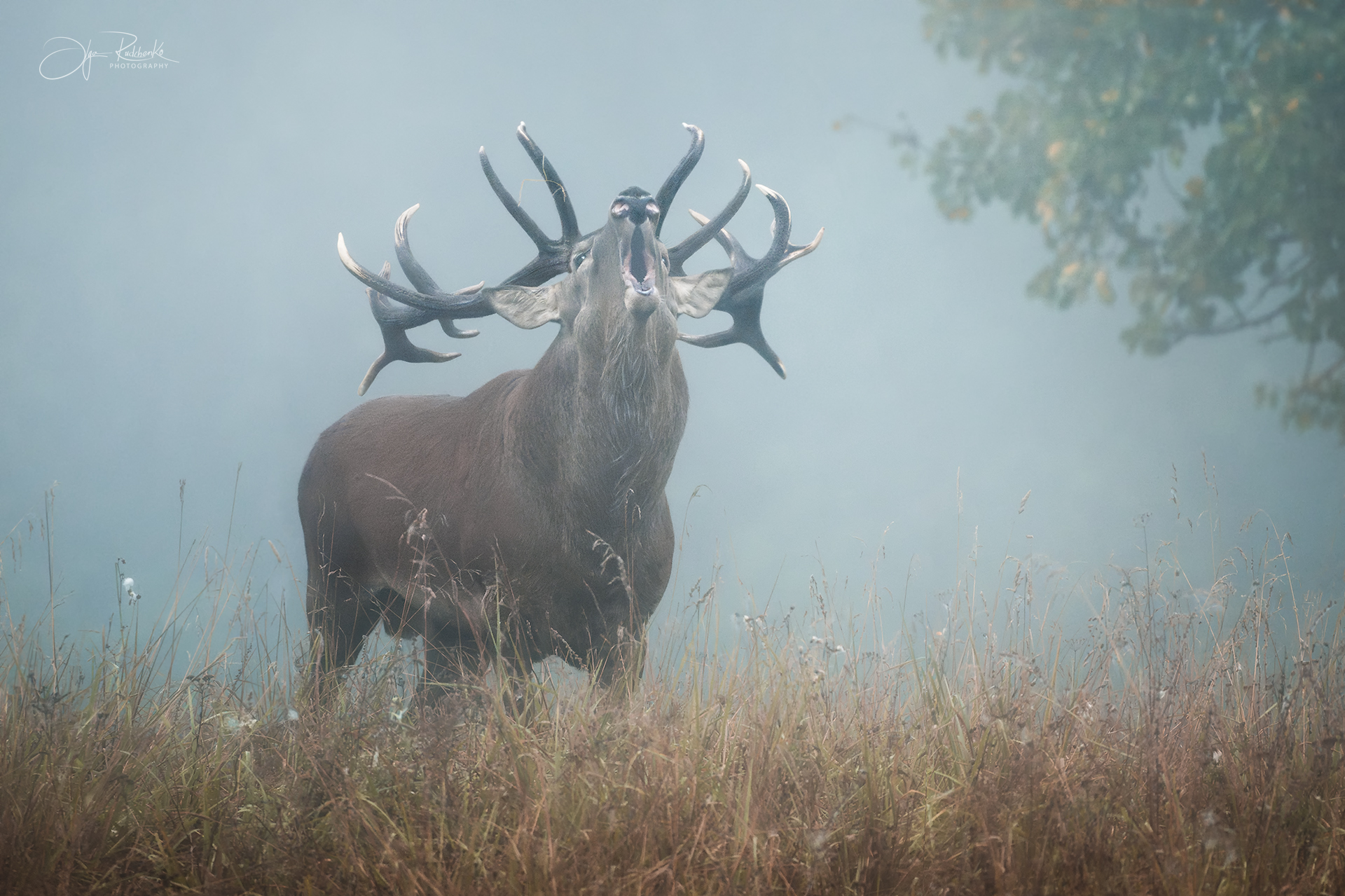 Голос осени