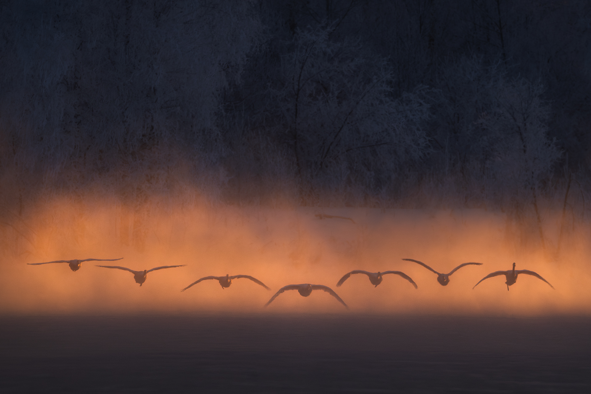 "Притяжение"