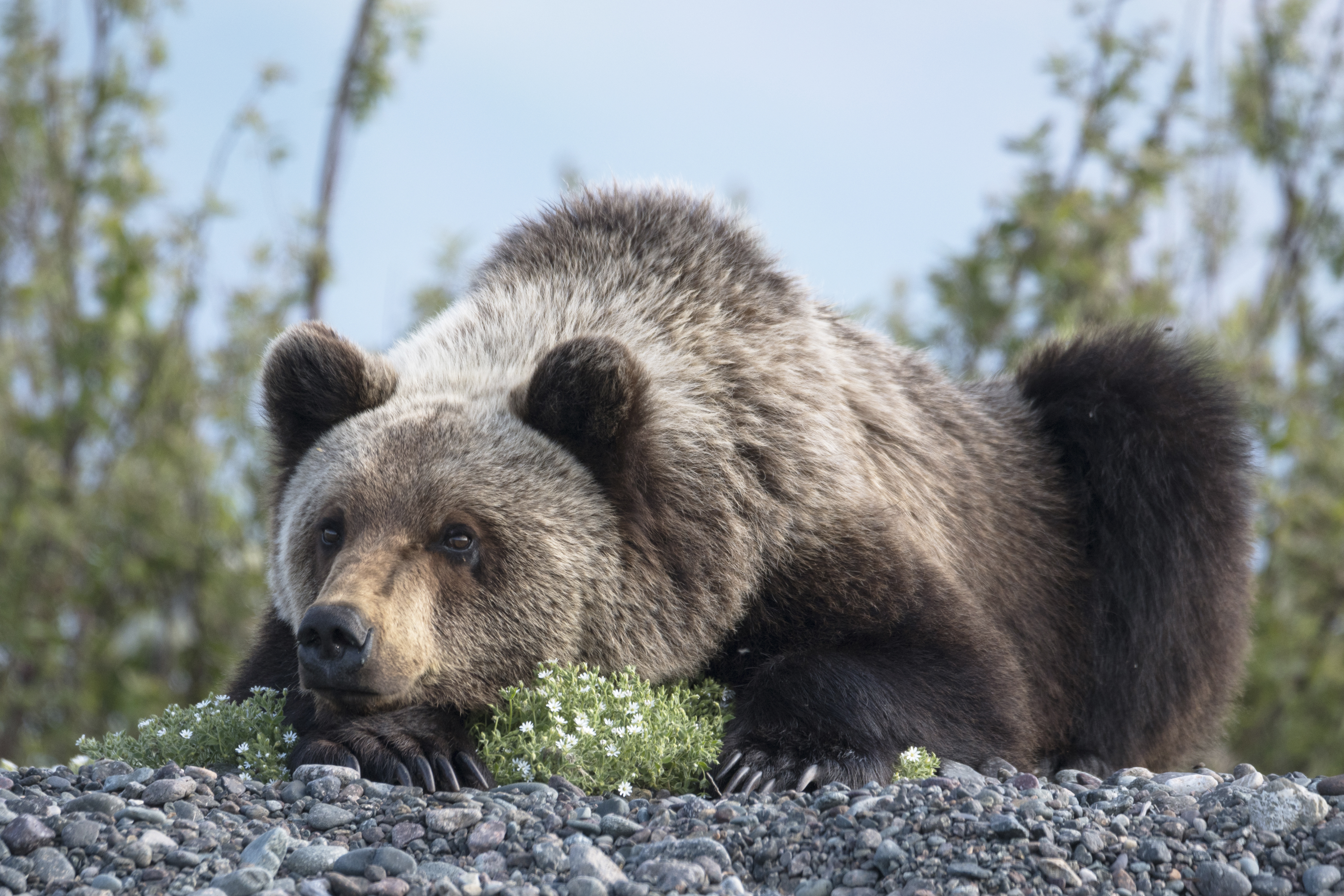 Таёжный философ