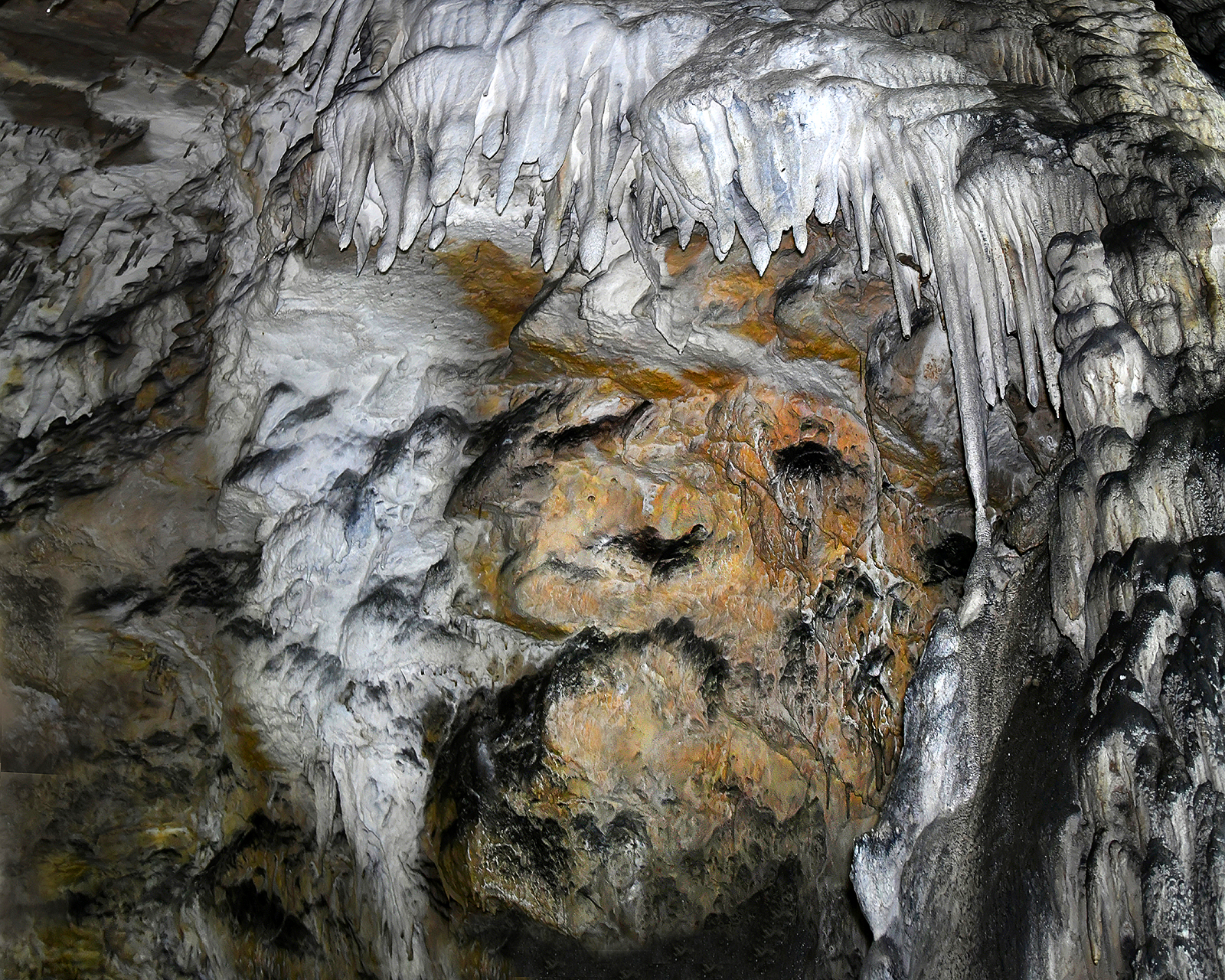 КАМЕННЫЙ ЛЕВ