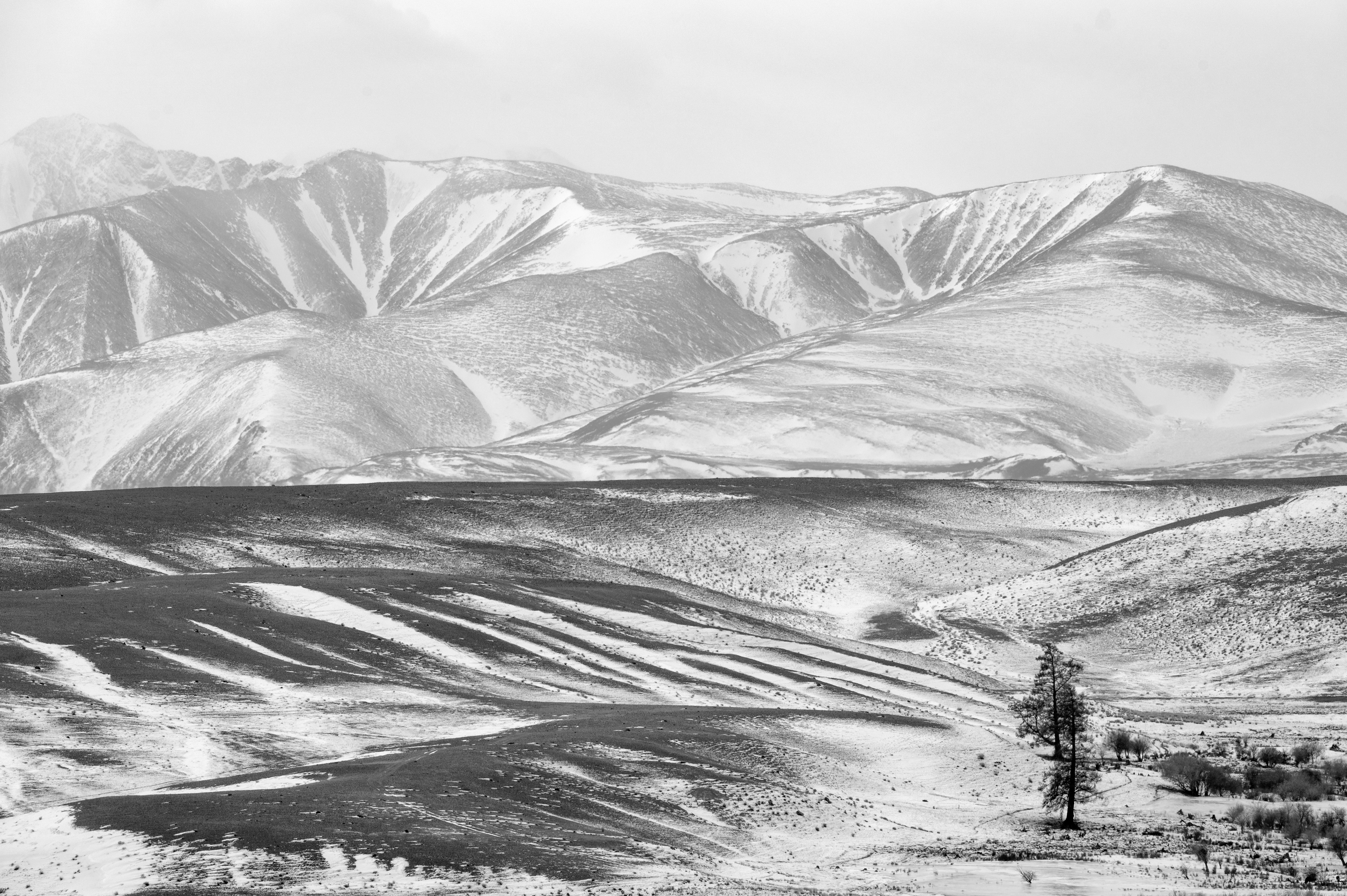 Графика Алтая