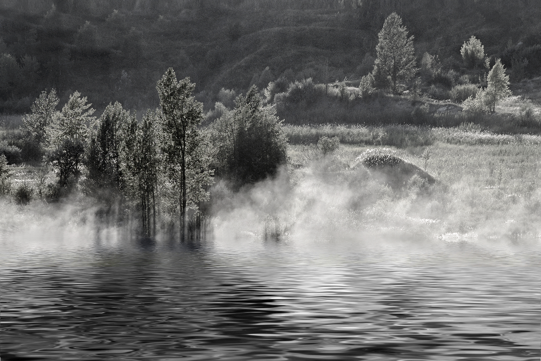 ЧЁРНО–БЕЛАЯ ОСЕНЬ