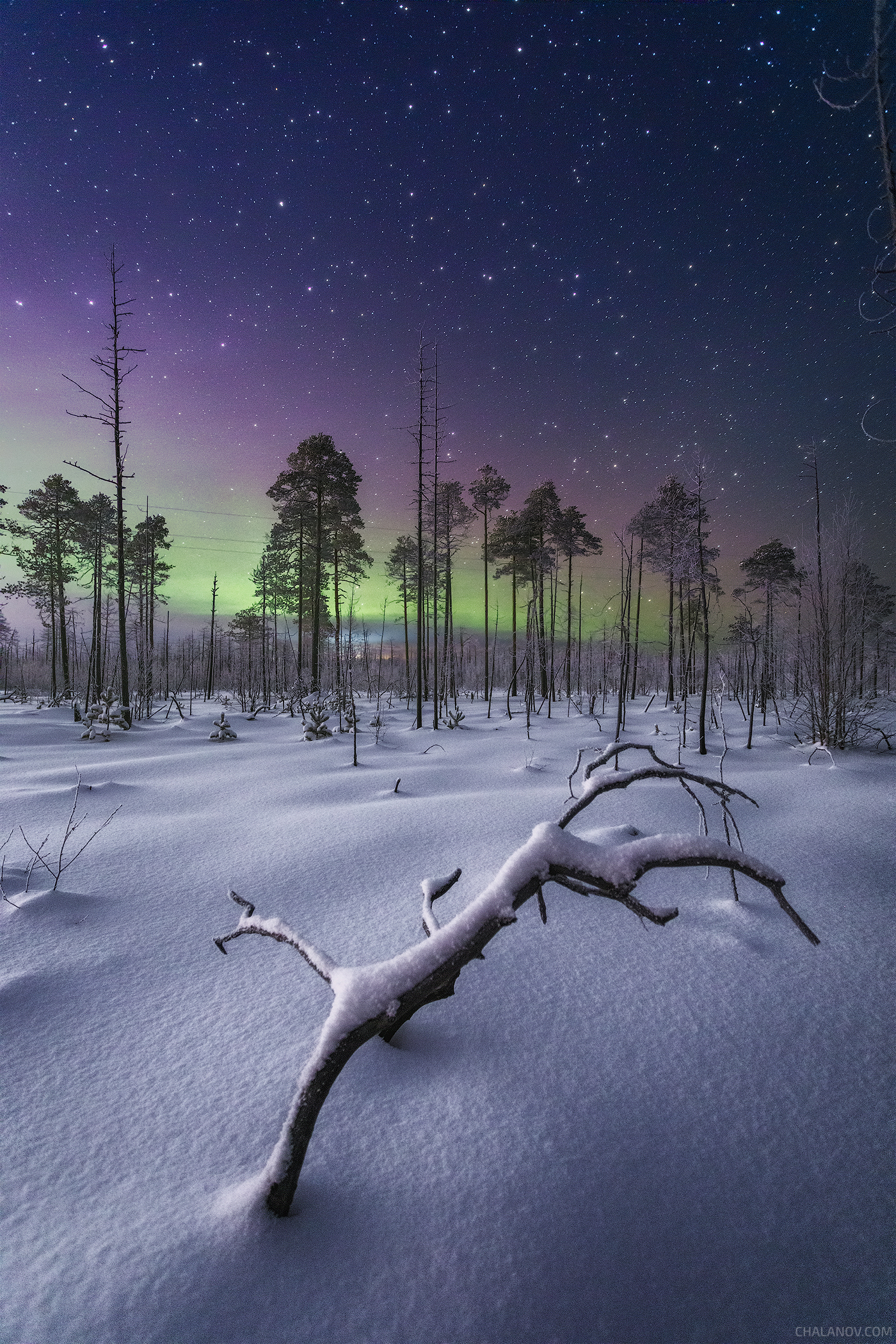 Рука мертвеца