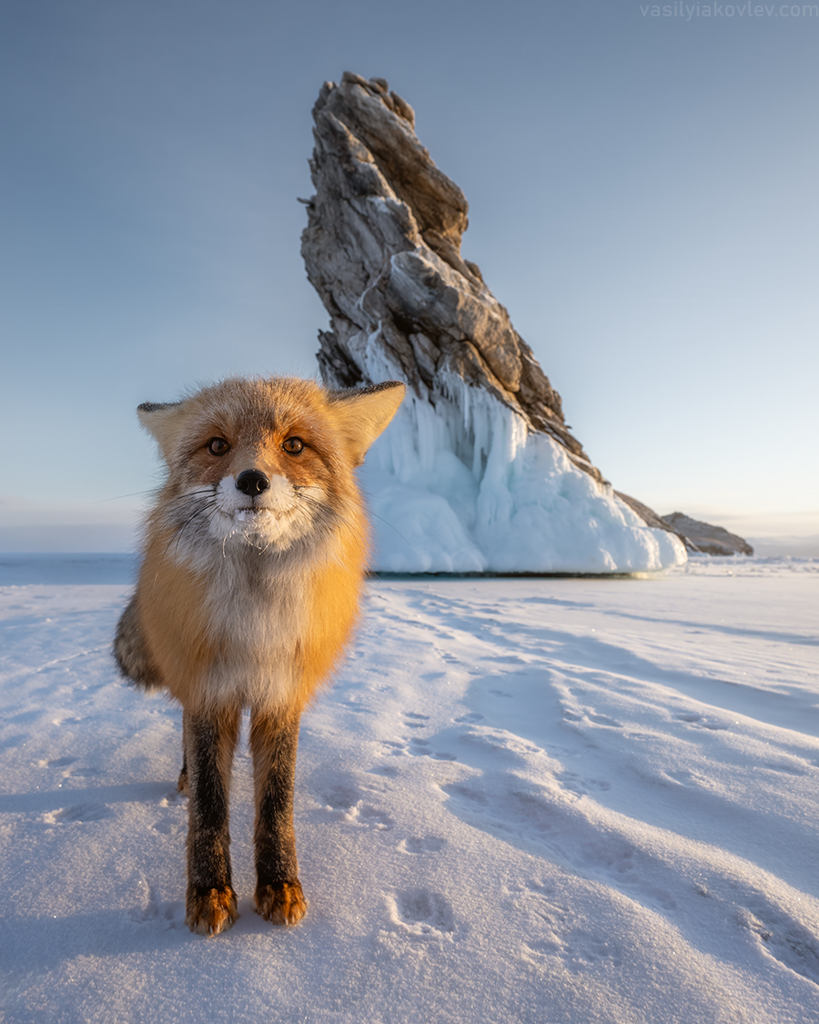 А че это вы здесь делаете?