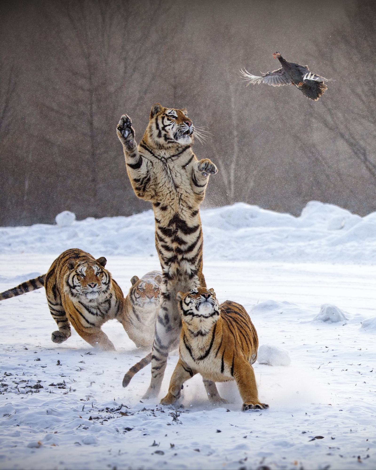 Земля — воздух