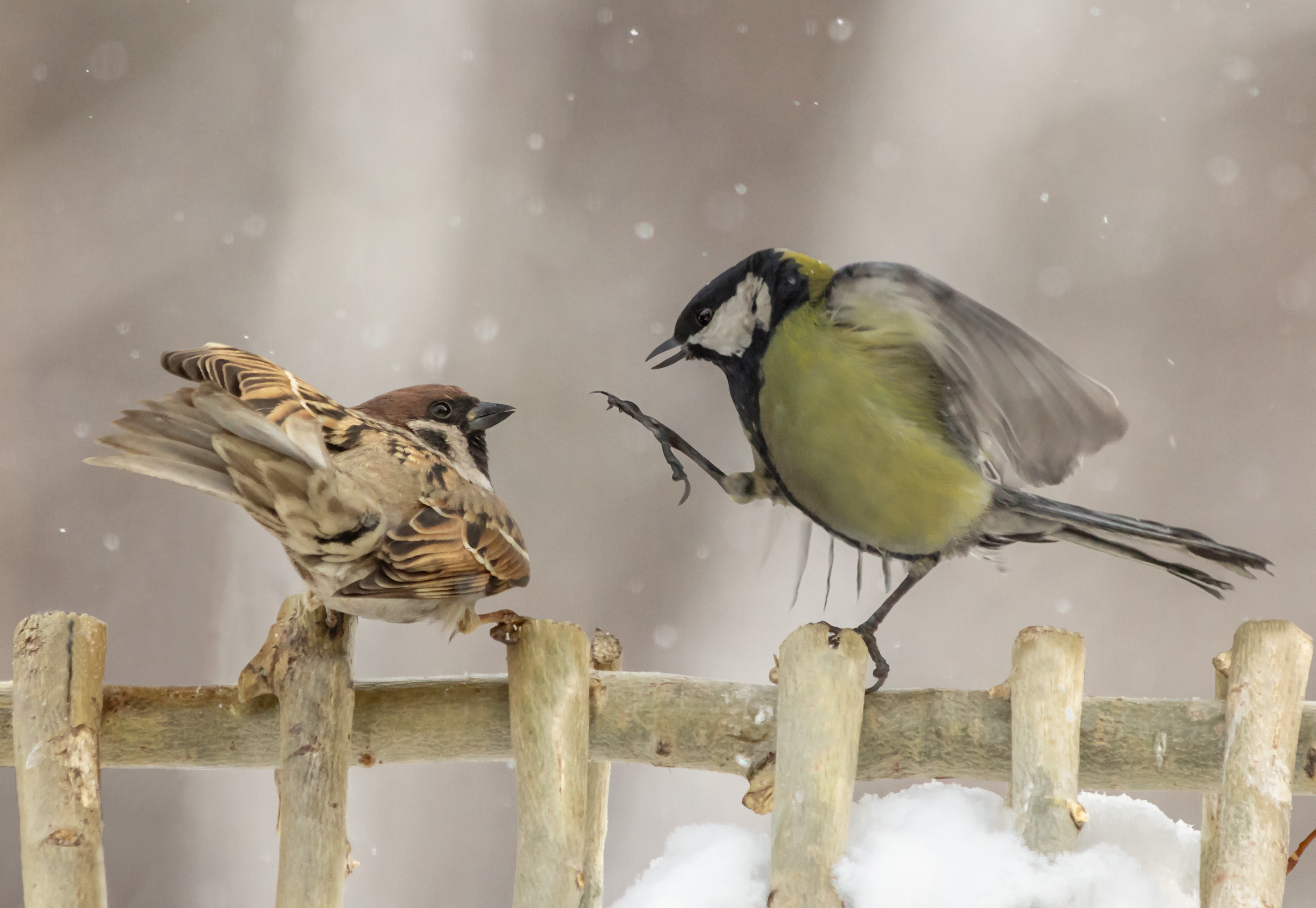 Сеанс гипноза