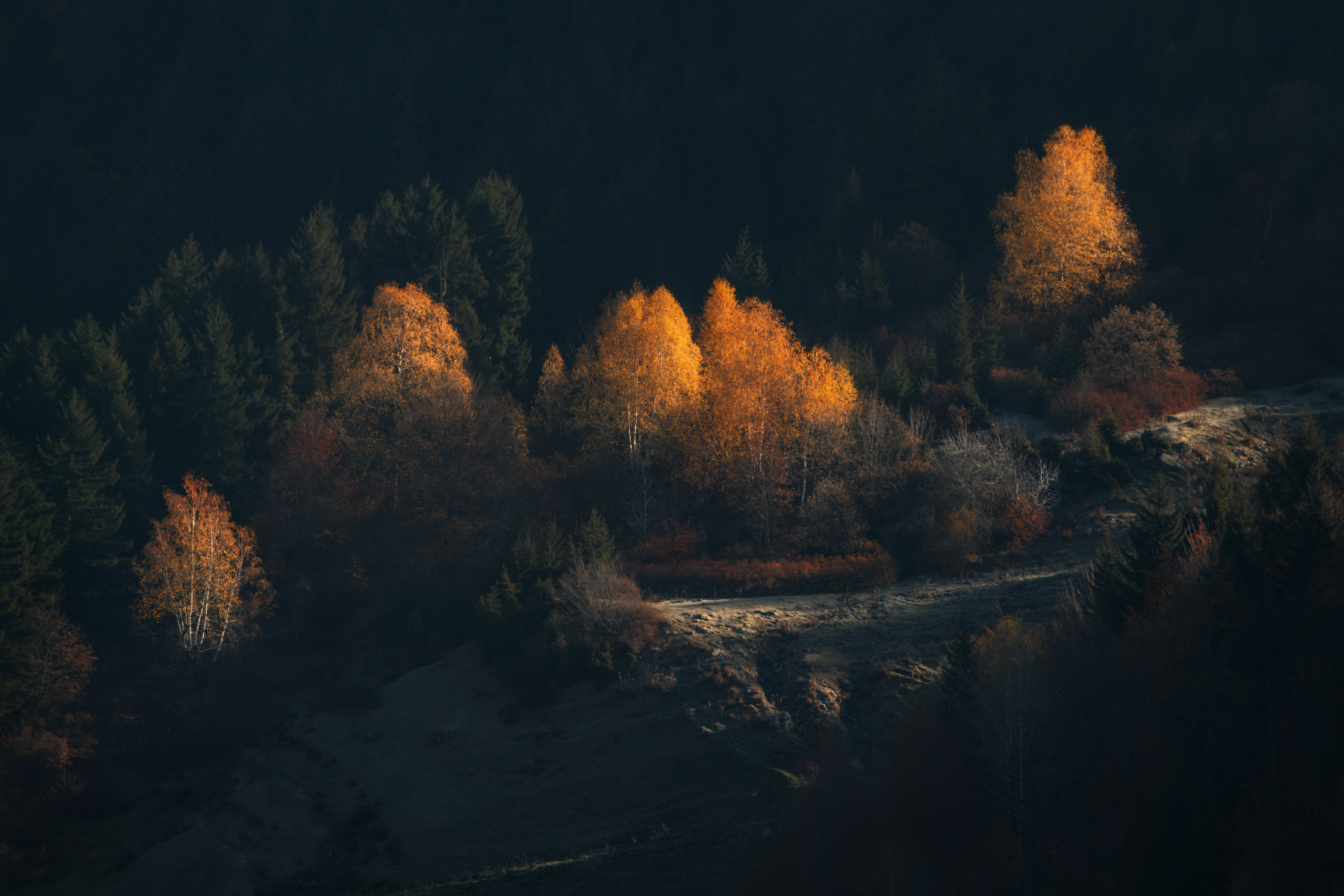 Аромат осени