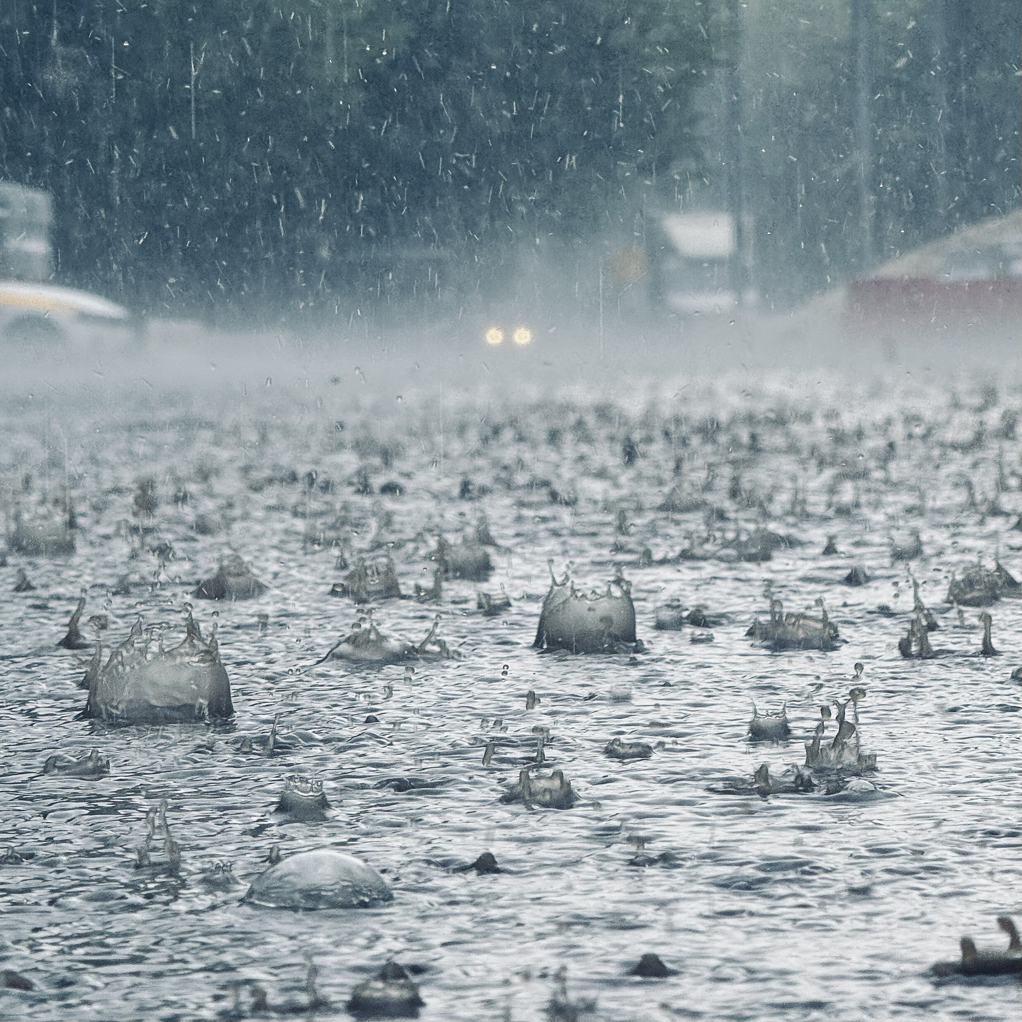 Дождь в Москве