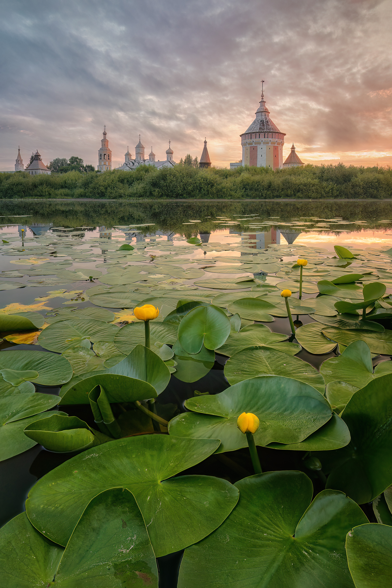Кувшинковый рассвет