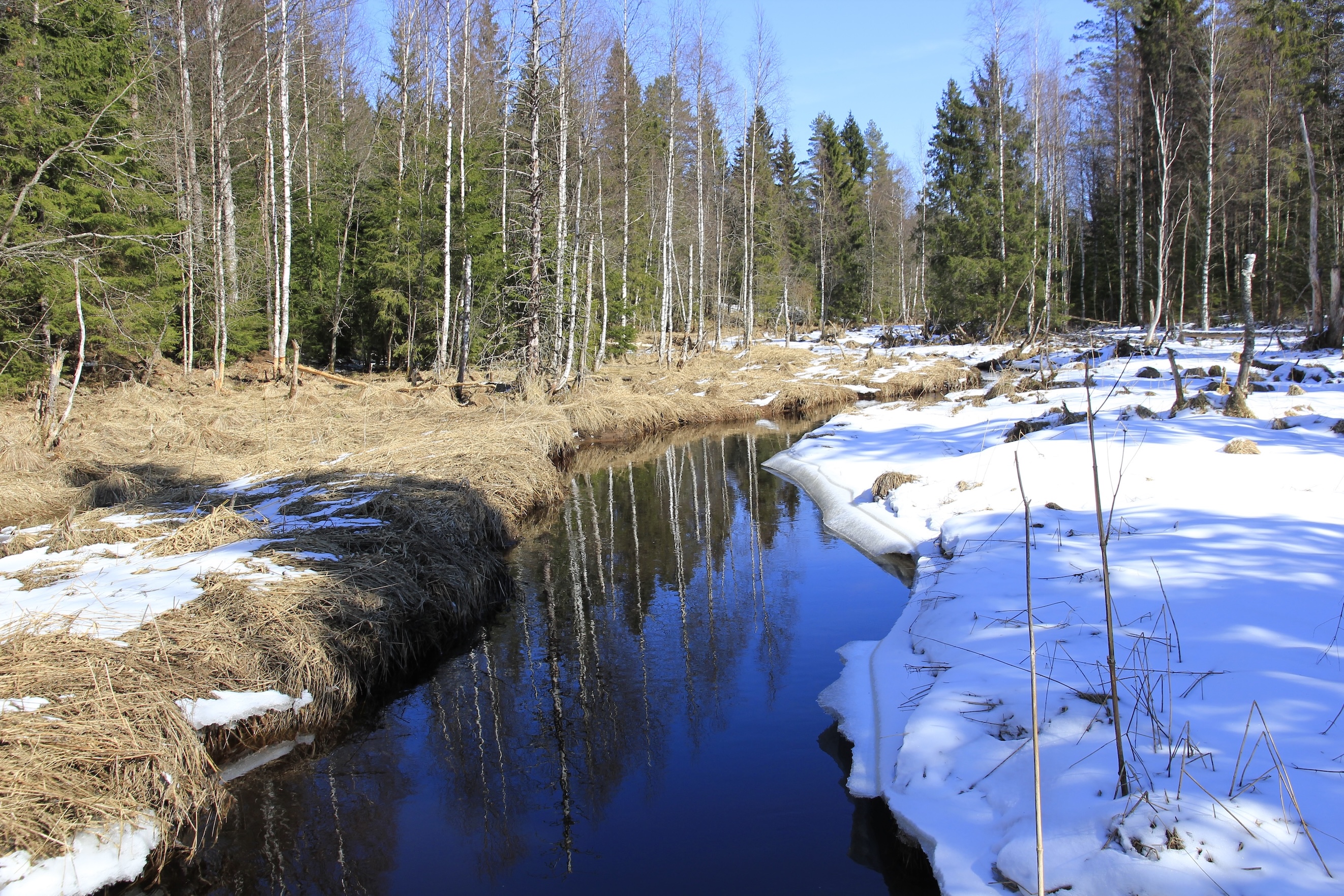 Ручей между зимой и весной