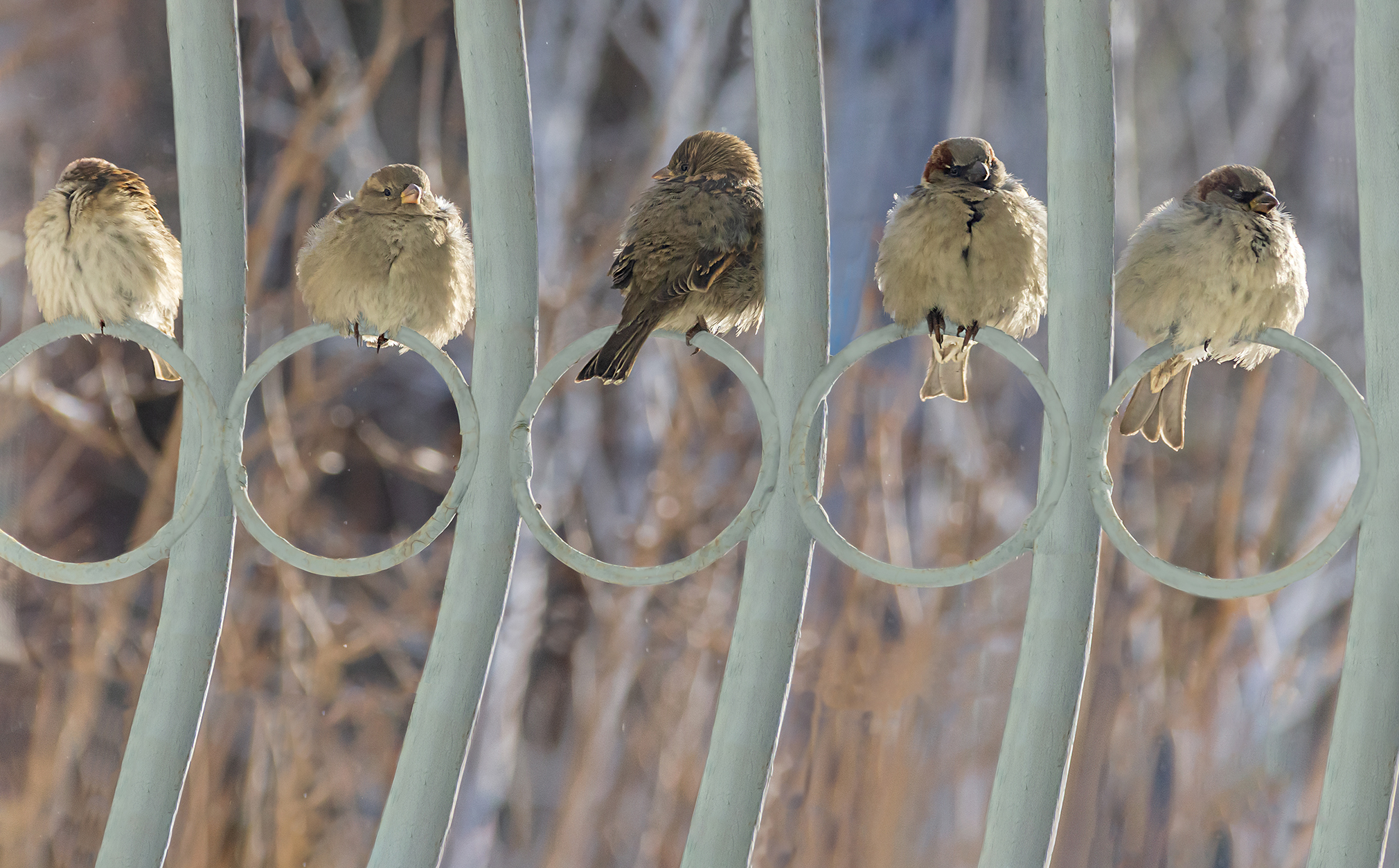 На солнышке