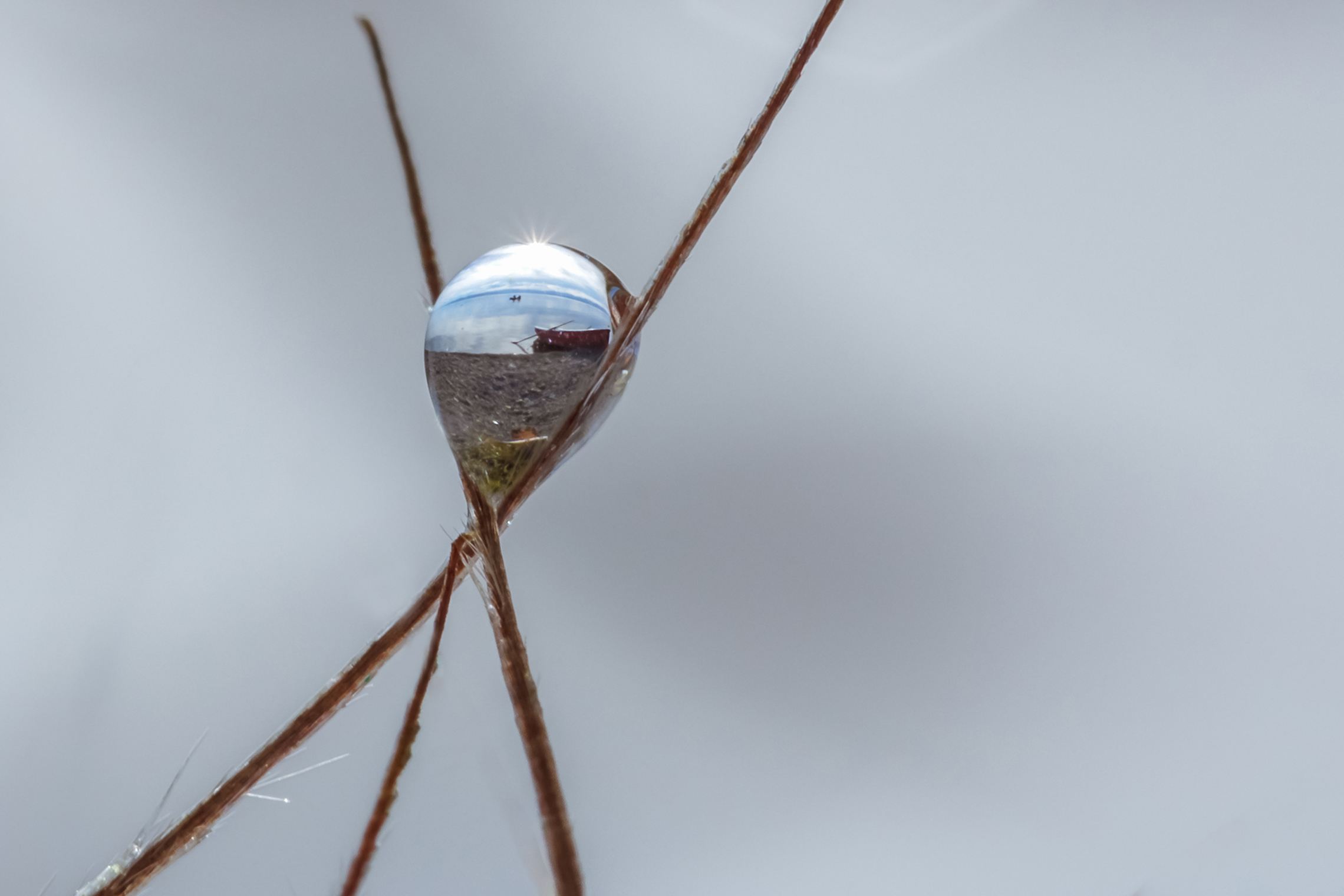Озеро в капле