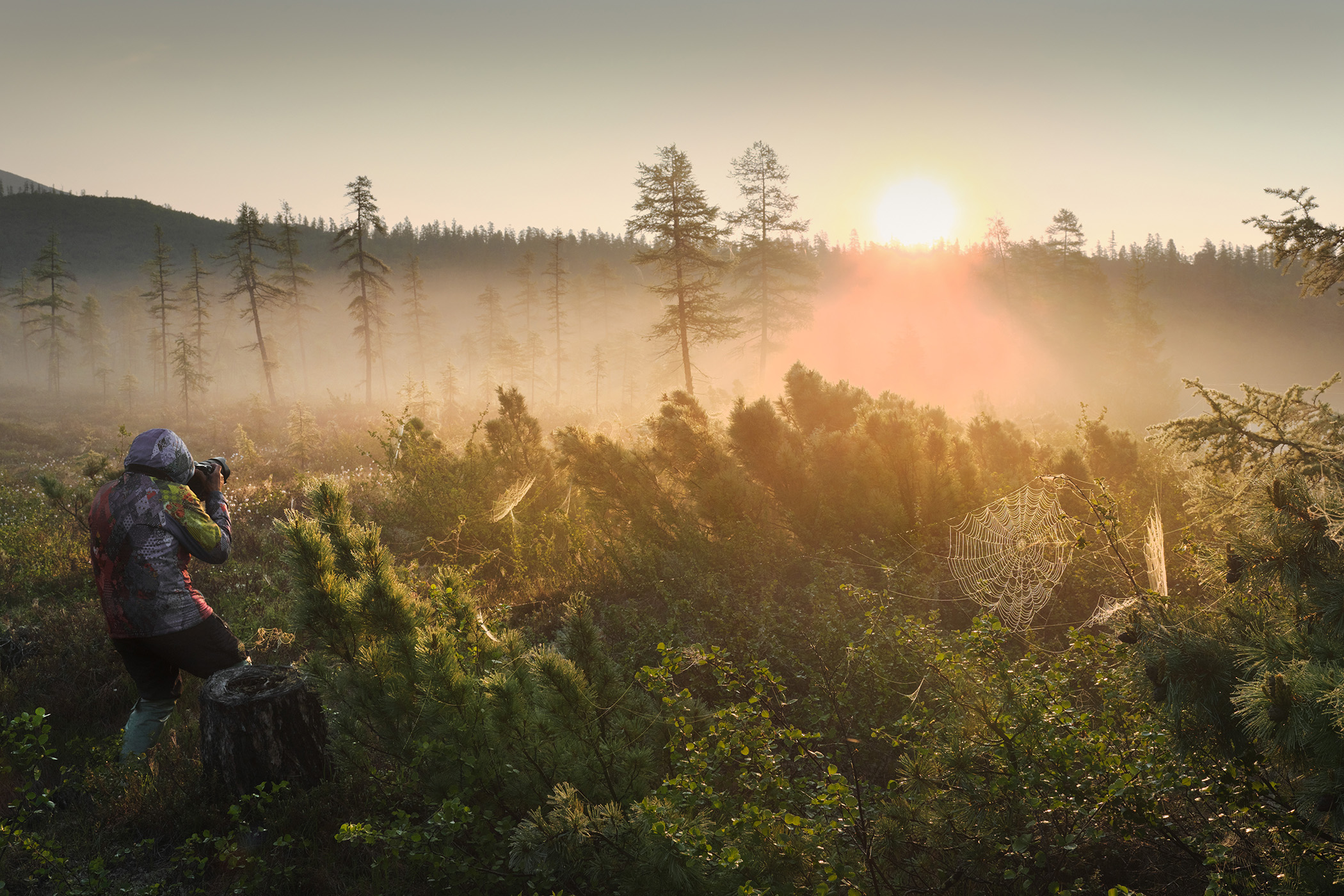 Охотник за красотой