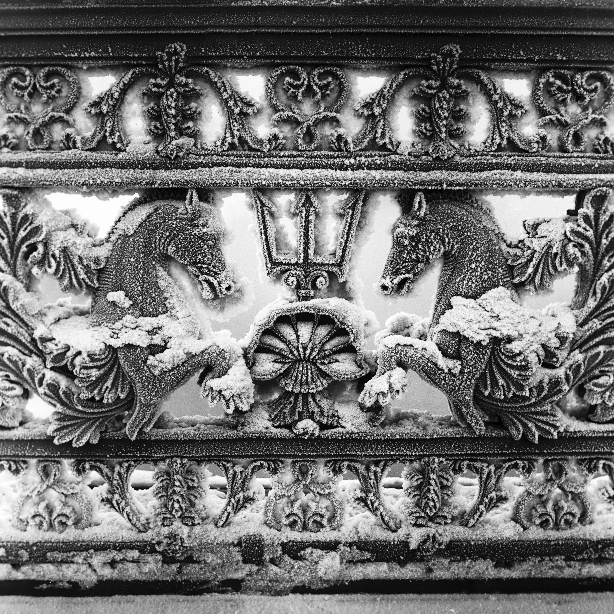 Петербургские лошадки